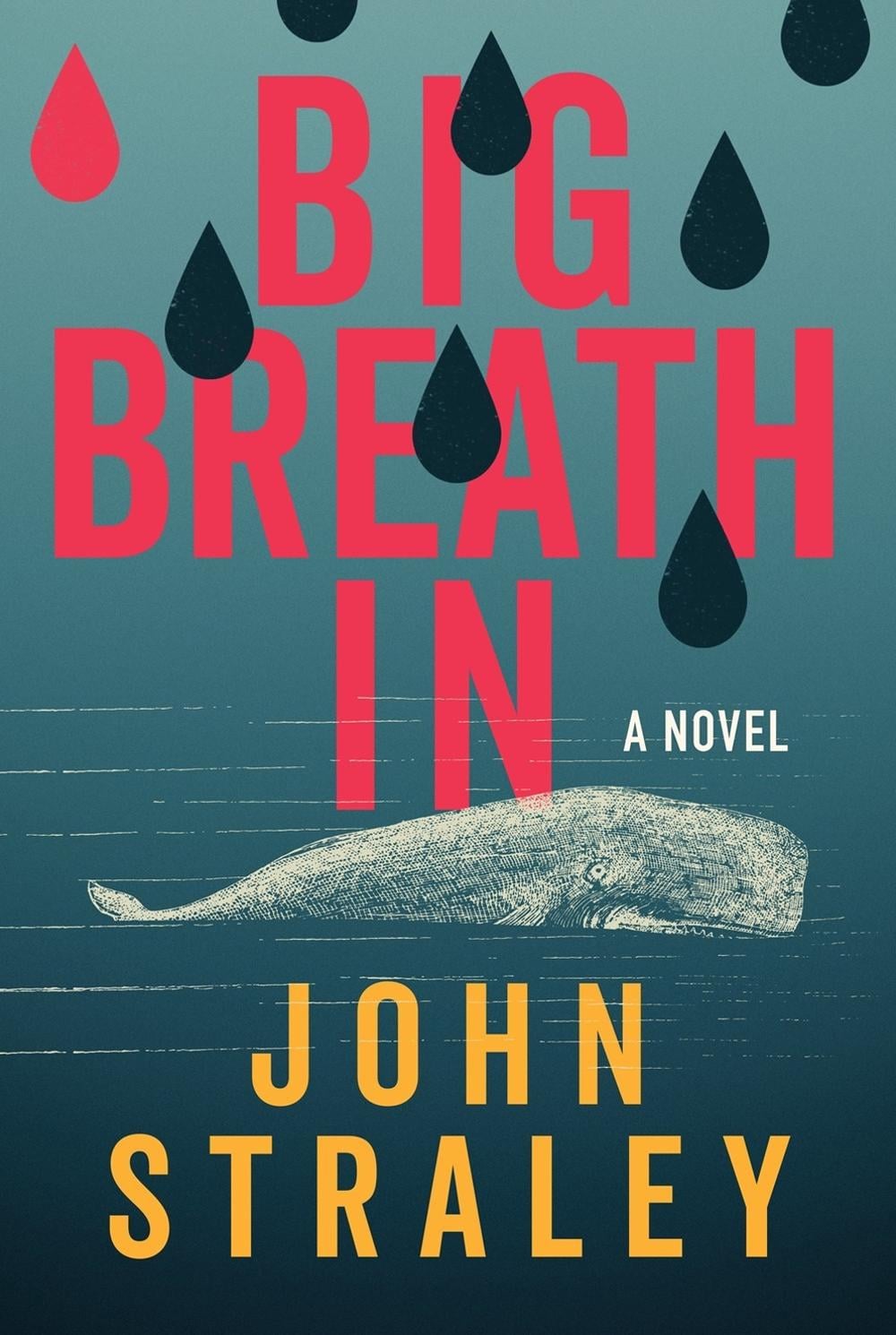Big Breath In by John Straley - ISBN: 9781641296540