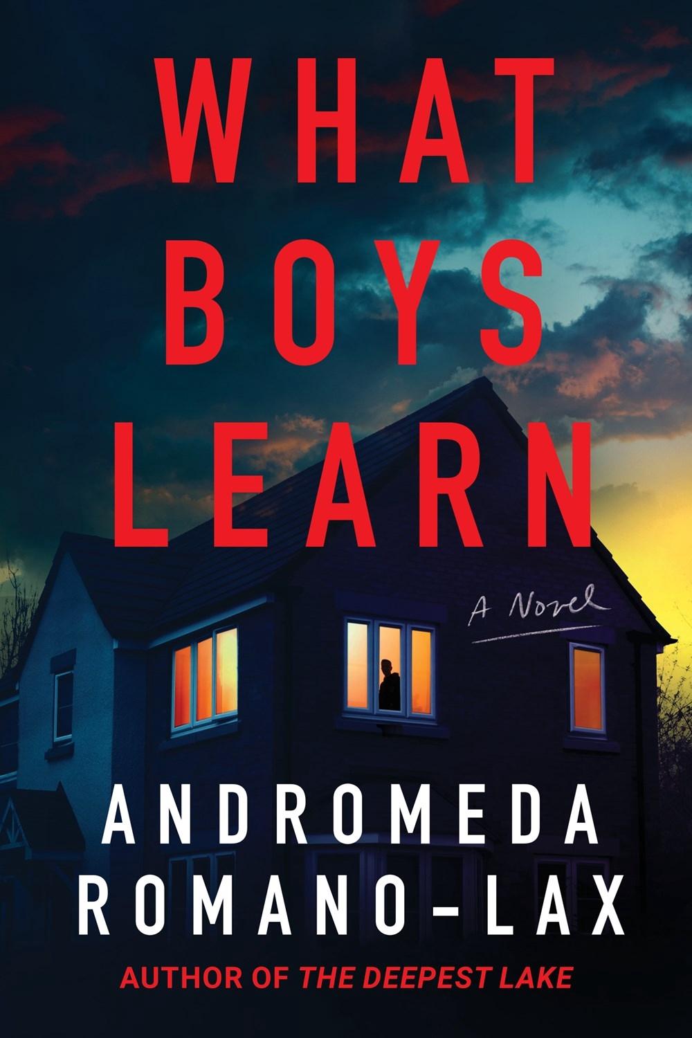 What Boys Learn by Andromeda Romano-Lax - ISBN: 9781641296915