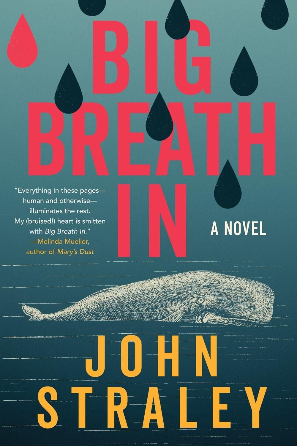 Big Breath In by John Straley - ISBN: 9781641297394