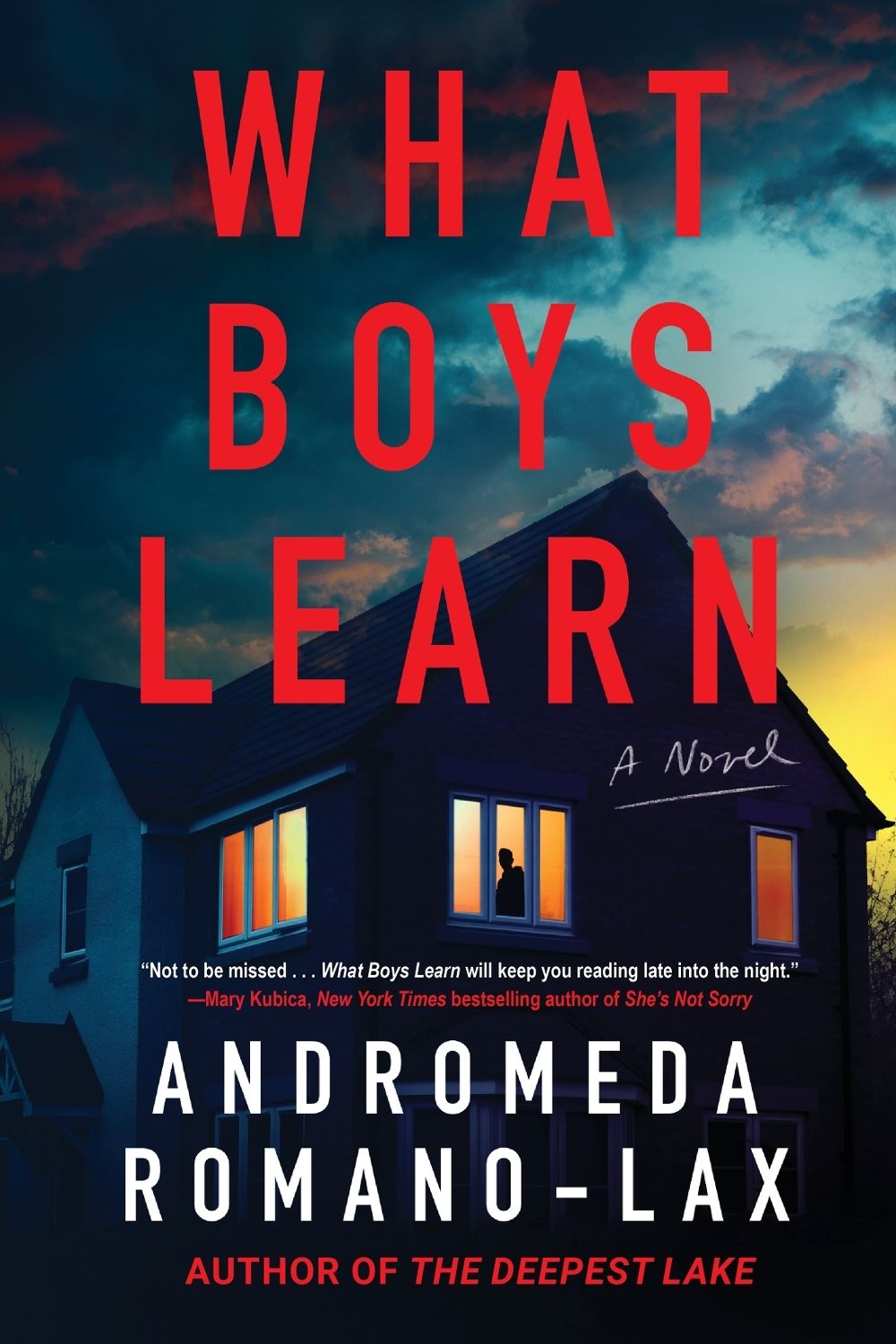 What Boys Learn by Andromeda Romano-Lax - ISBN: 9781641298421