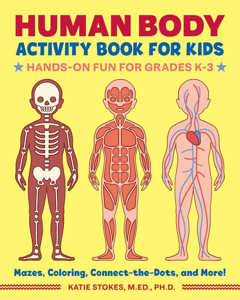 Human Body Activity Book for Kids by Katie Stokes - ISBN: 9781641522632