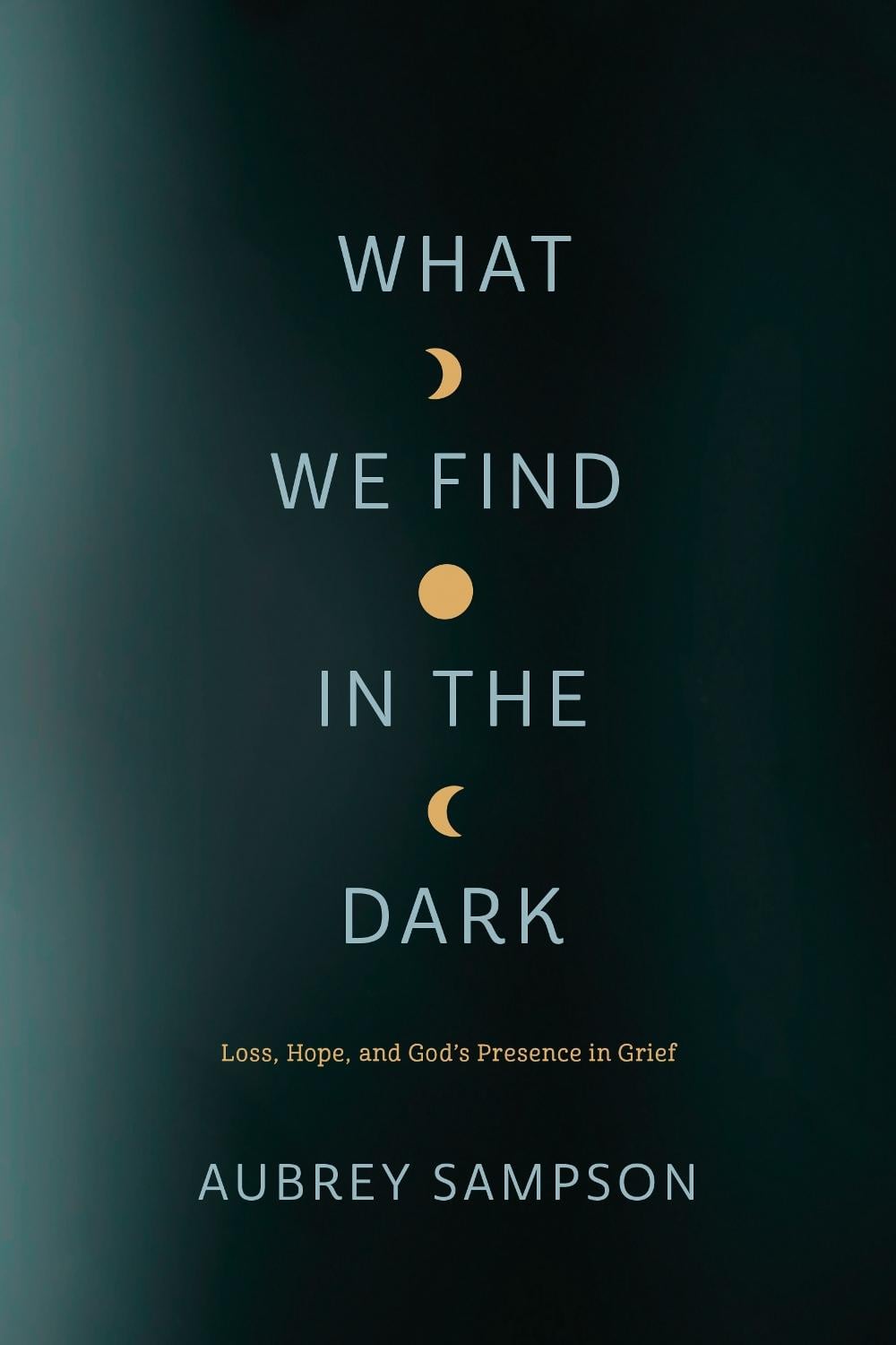 What We Find in the Dark by Aubrey Sampson - ISBN: 9781641583121