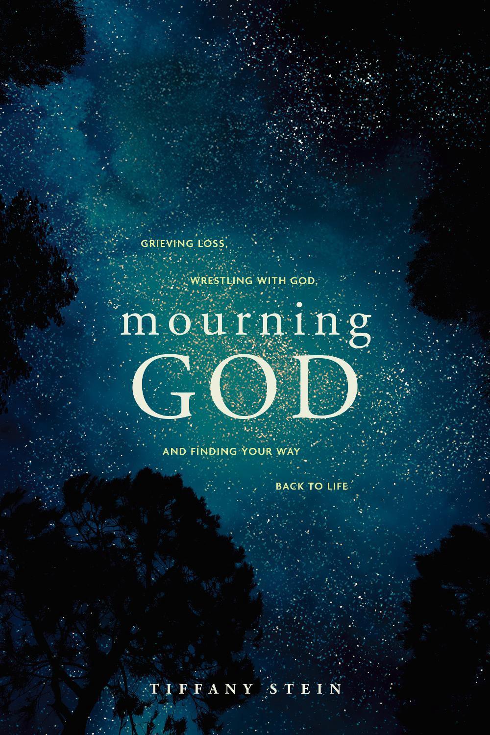 Mourning God by Tiffany Stein - ISBN: 9781641589833