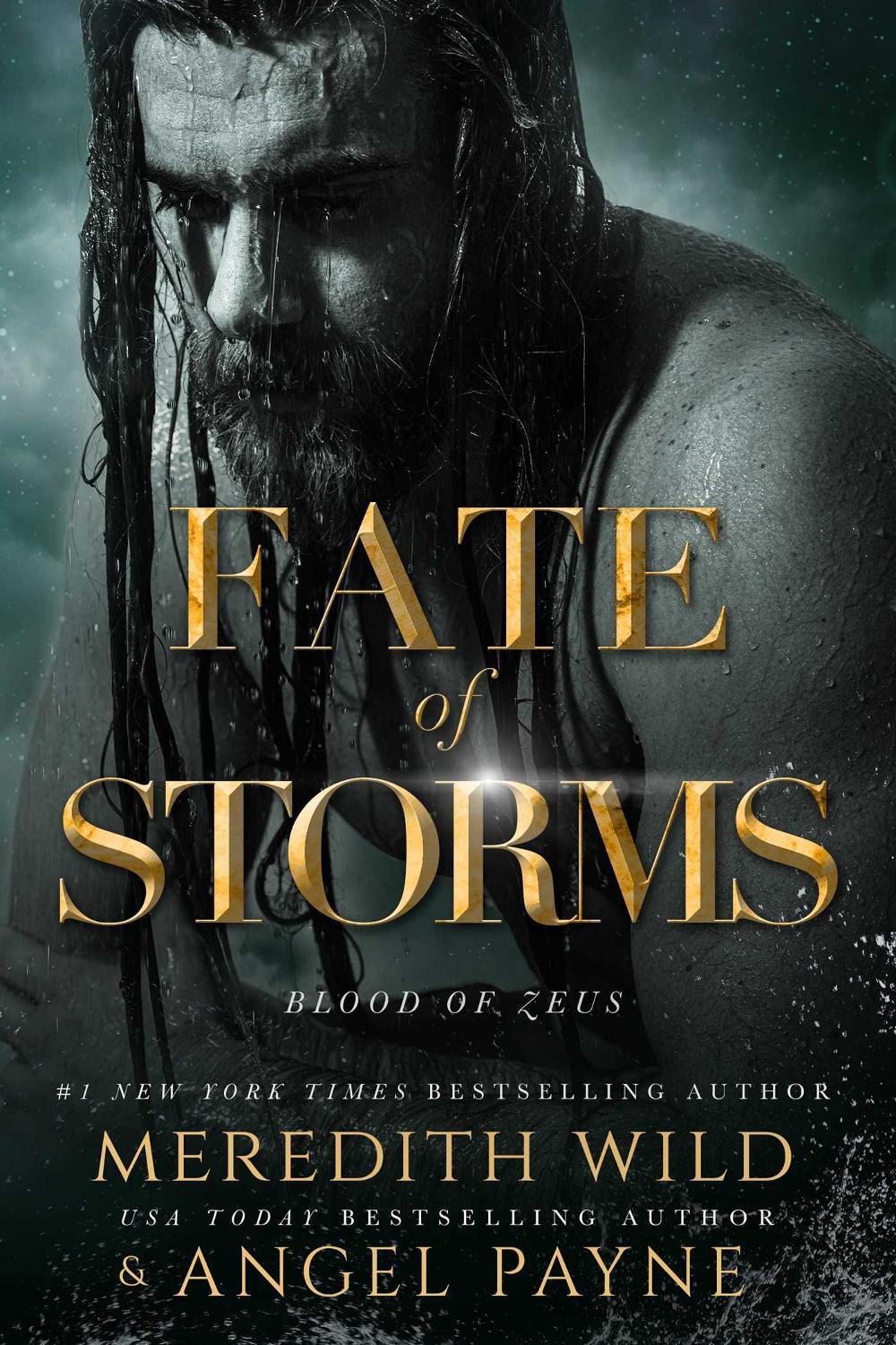 Fate of Storms by Meredith Wild - ISBN: 9781642632484