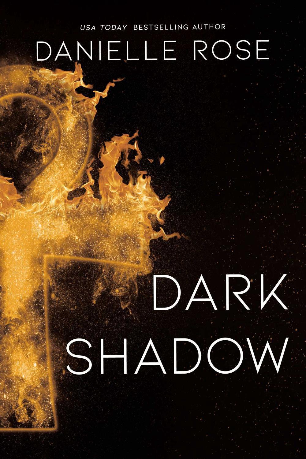Dark Shadow by Danielle Rose - ISBN: 9781642632590