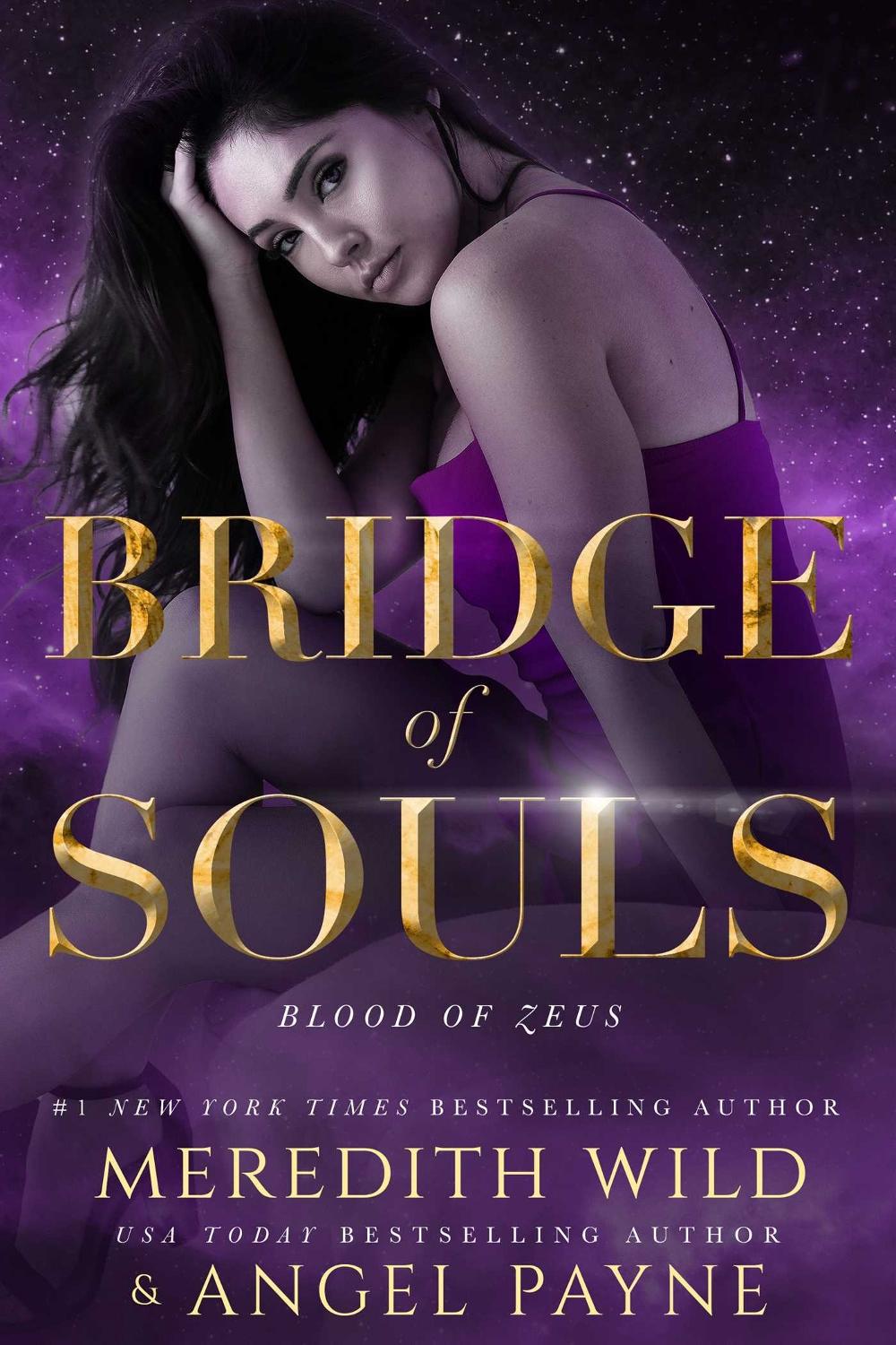 Bridge of Souls by Meredith Wild - ISBN: 9781642633238