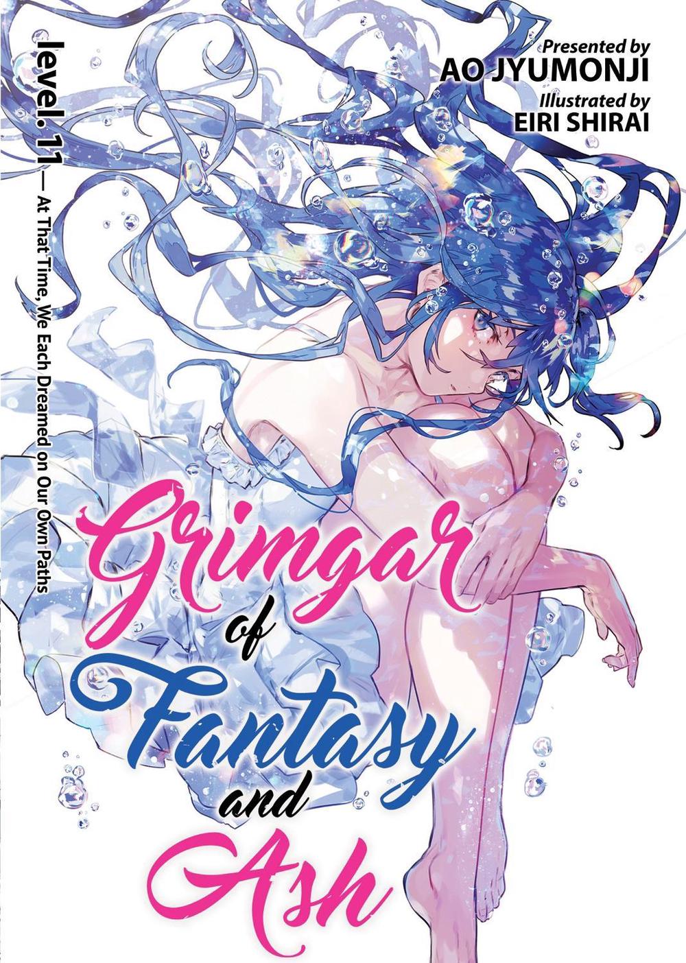 Grimgar of Fantasy and Ash (Light Novel) Vol. 11, 9781642757040