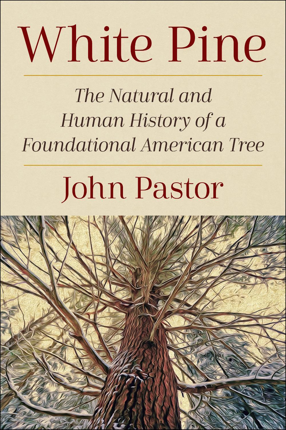 White Pine by John Pastor - ISBN: 9781642831412