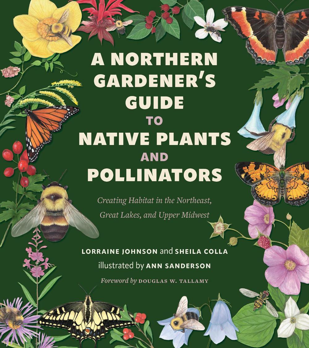 A Northern Gardener's Guide to Native Plants and Pollinators, 9781642832990