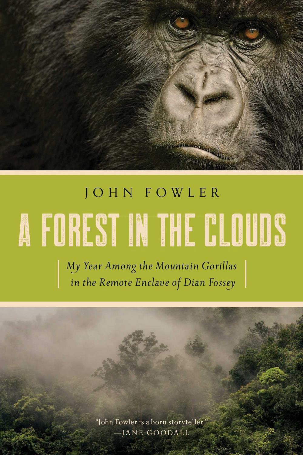 A Forest in the Clouds by John Fowler - ISBN: 9781643131412