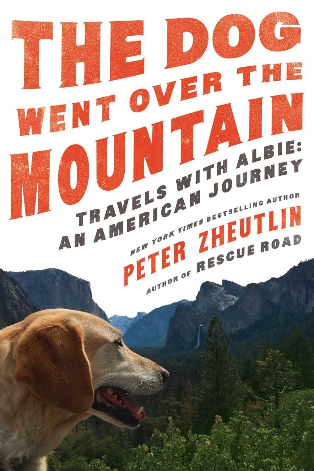 The Dog Went Over the Mountain by Peter Zheutlin - ISBN: 9781643132013