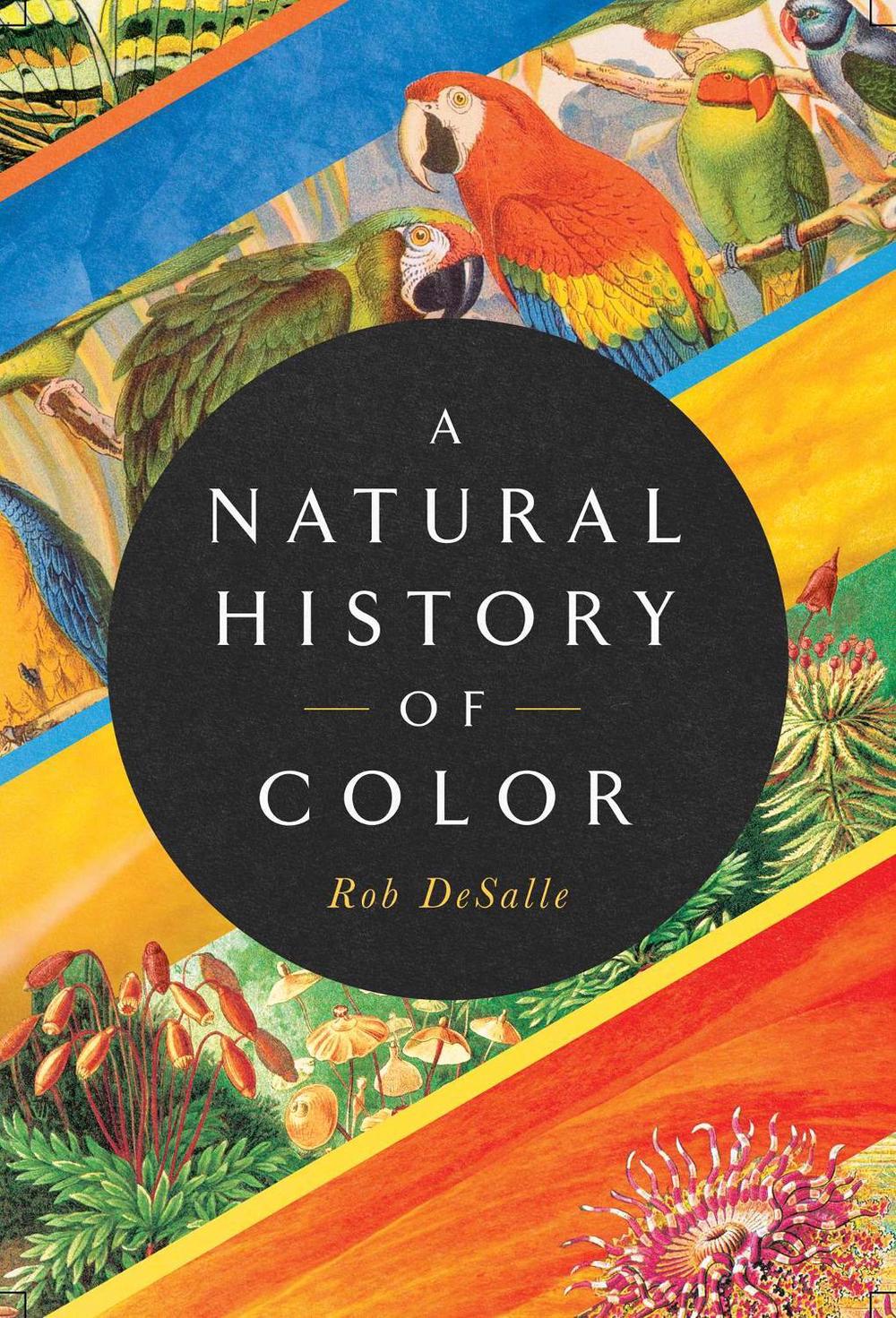 A Natural History of Color by Rob DeSalle - ISBN: 9781643134420