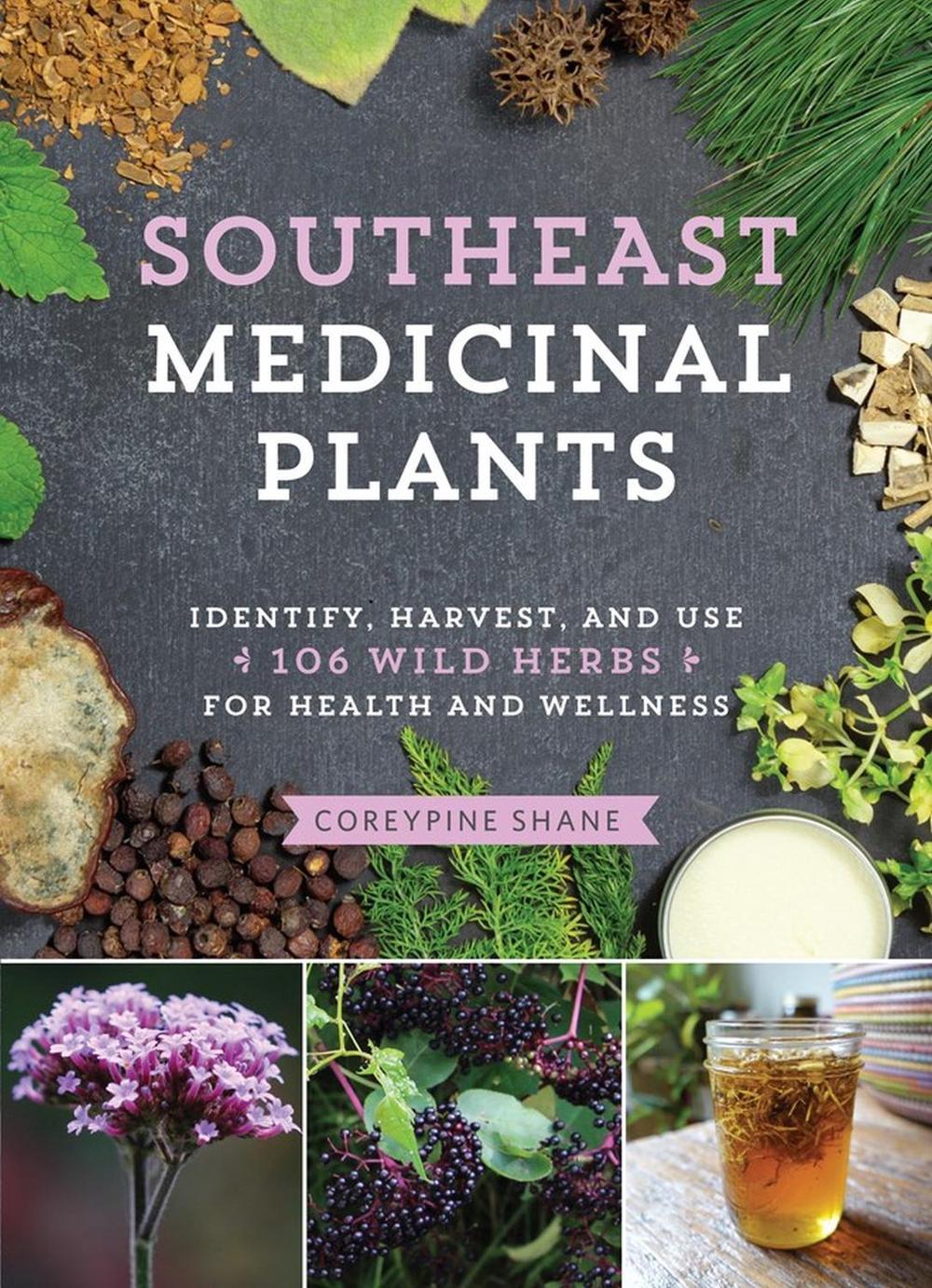Southeast Medicinal Plants by CoreyPine Shane - ISBN: 9781643260075