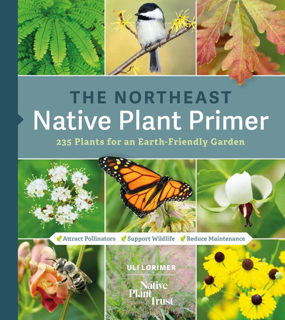The Northeast Native Plant Primer by Native Plant Trust - ISBN: 9781643260464