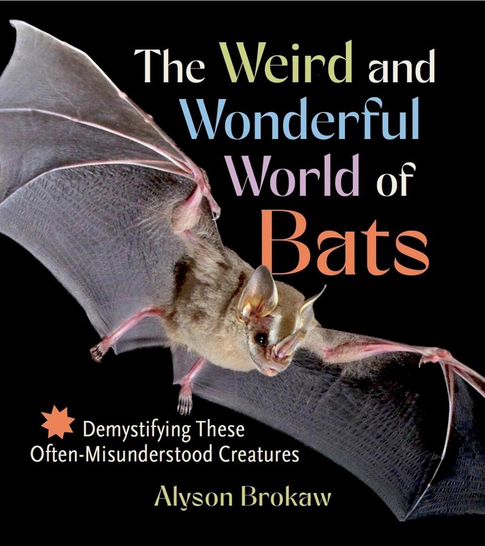 The Weird and Wonderful World of Bats, 9781643261904