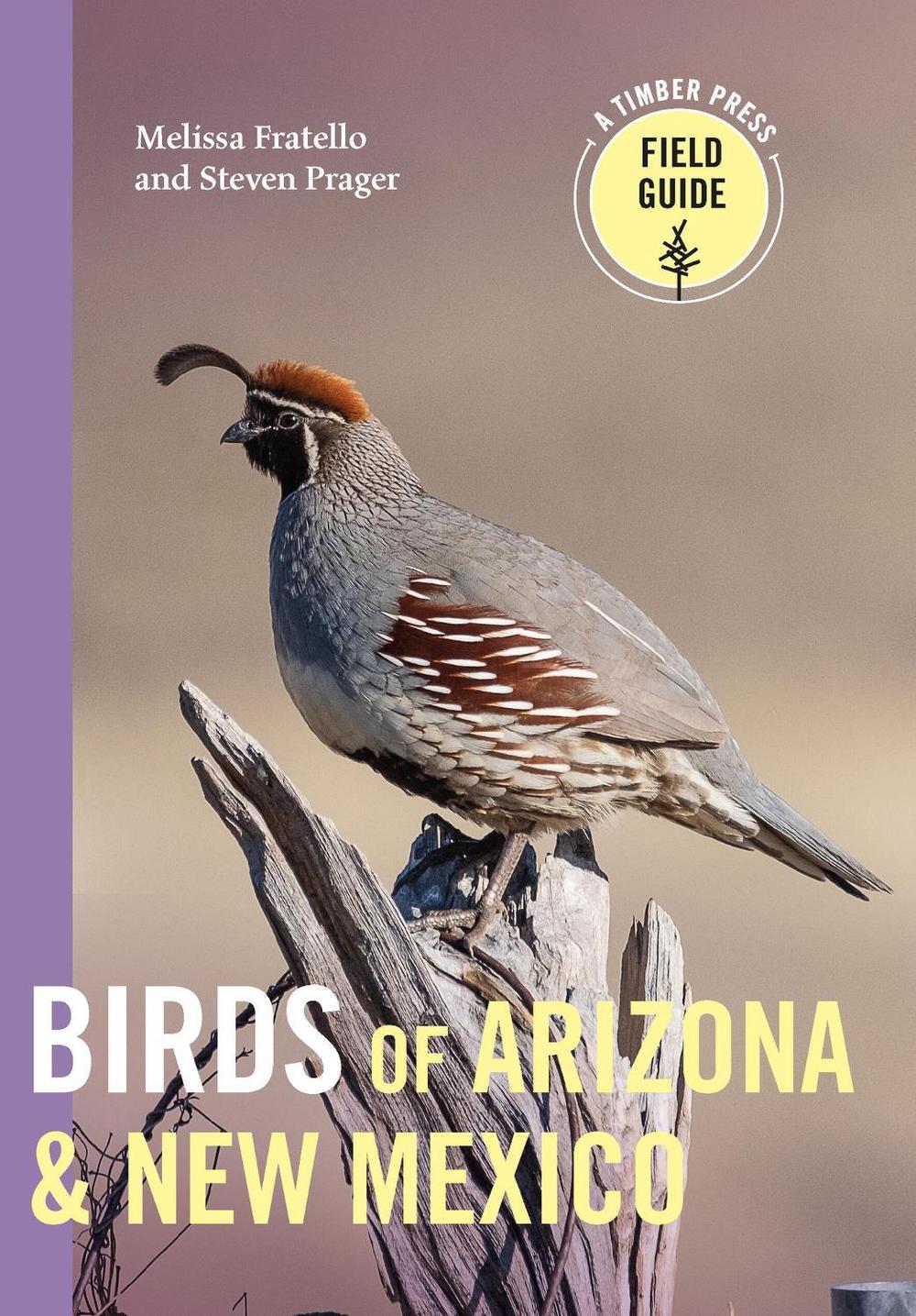 Birds of Arizona and New Mexico by Melissa Fratello - ISBN: 9781643261980