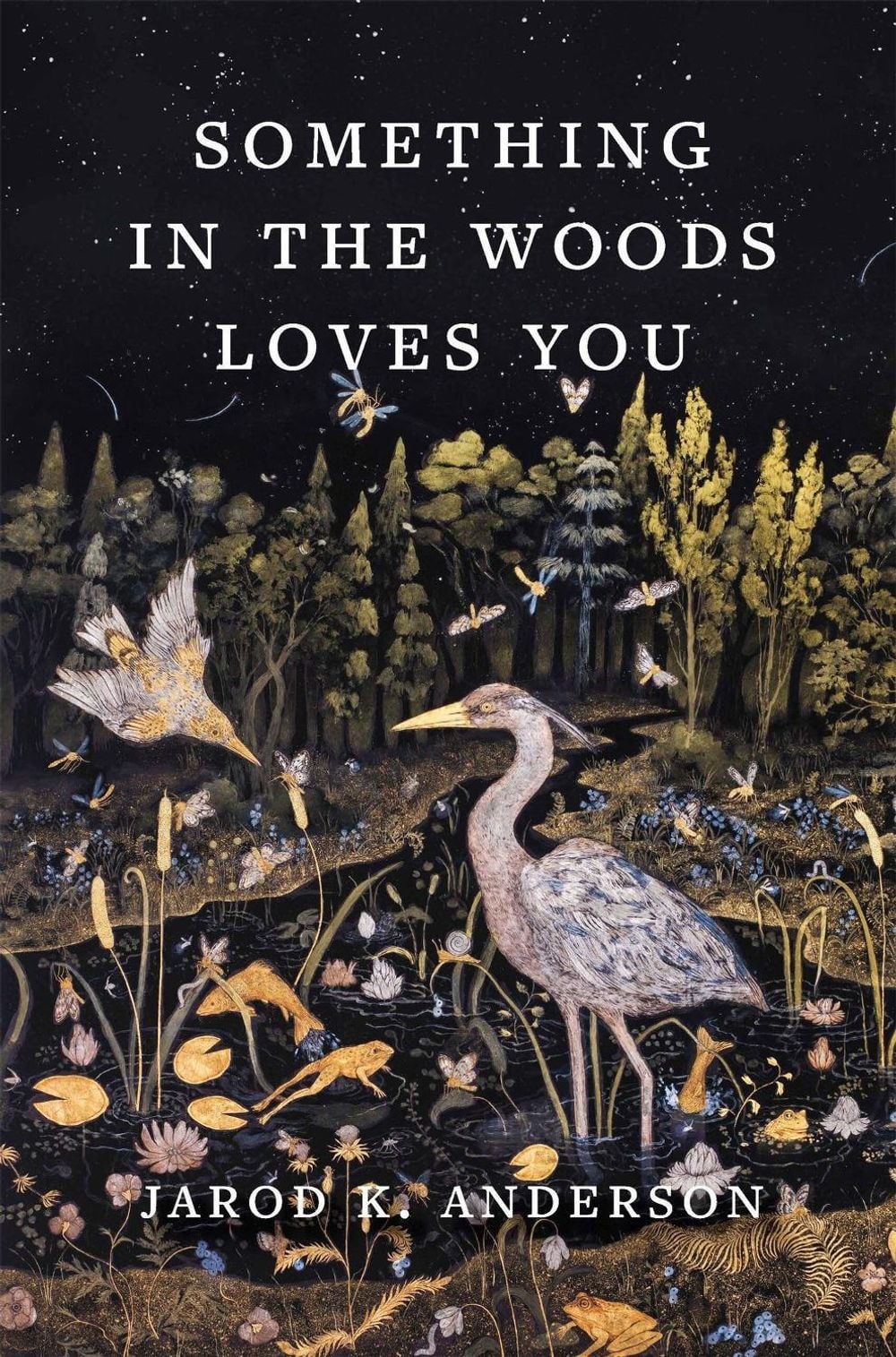 Something in the Woods Loves You by Jarod K. Anderson - ISBN: 9781643262291