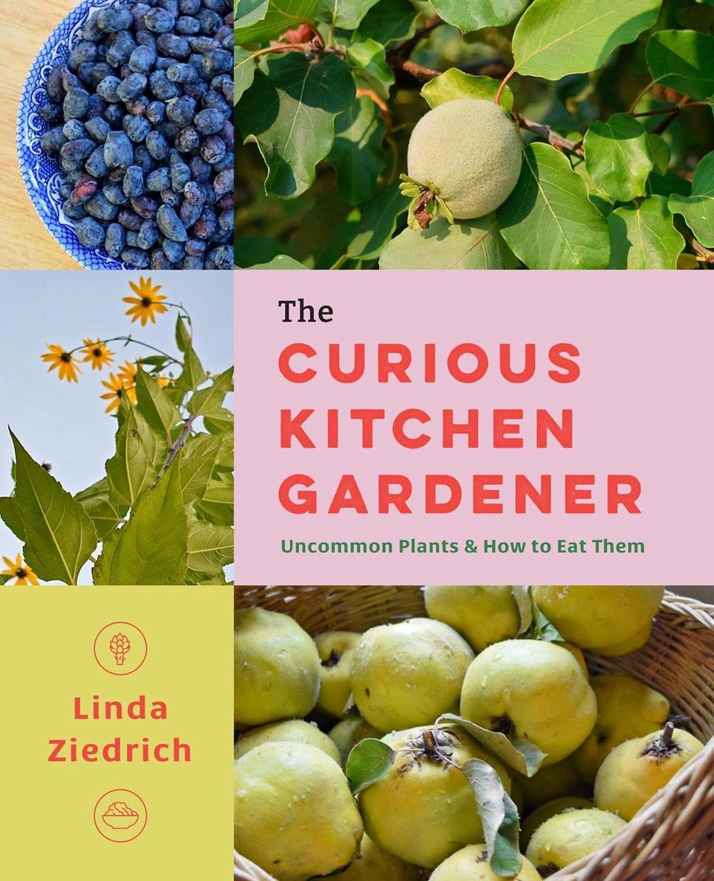 The Curious Kitchen Gardener, 9781643262314