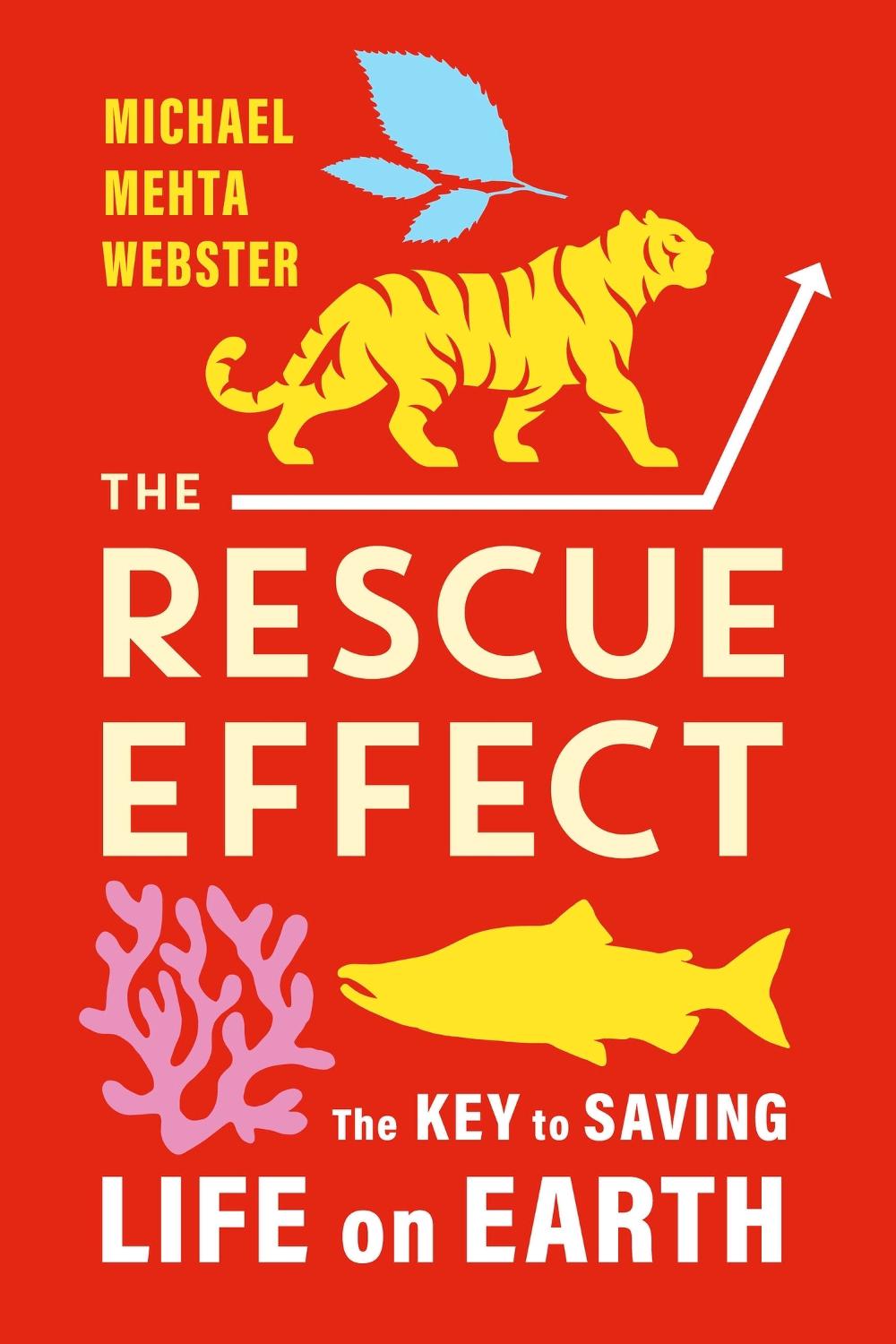The Rescue Effect by Michael Mehta Webster - ISBN: 9781643263977