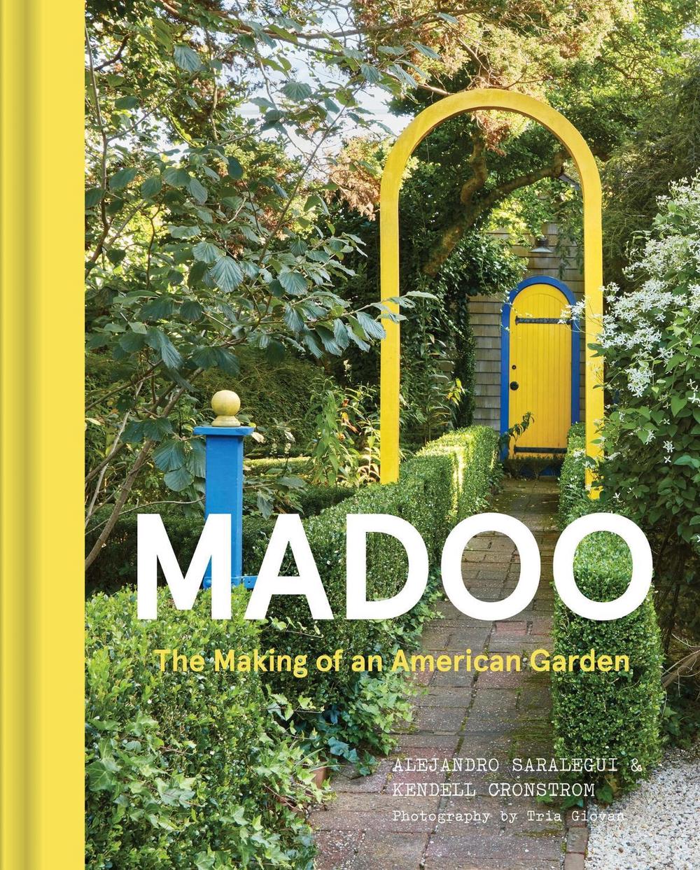 Madoo by Alejandro Saralegui - ISBN: 9781643264196