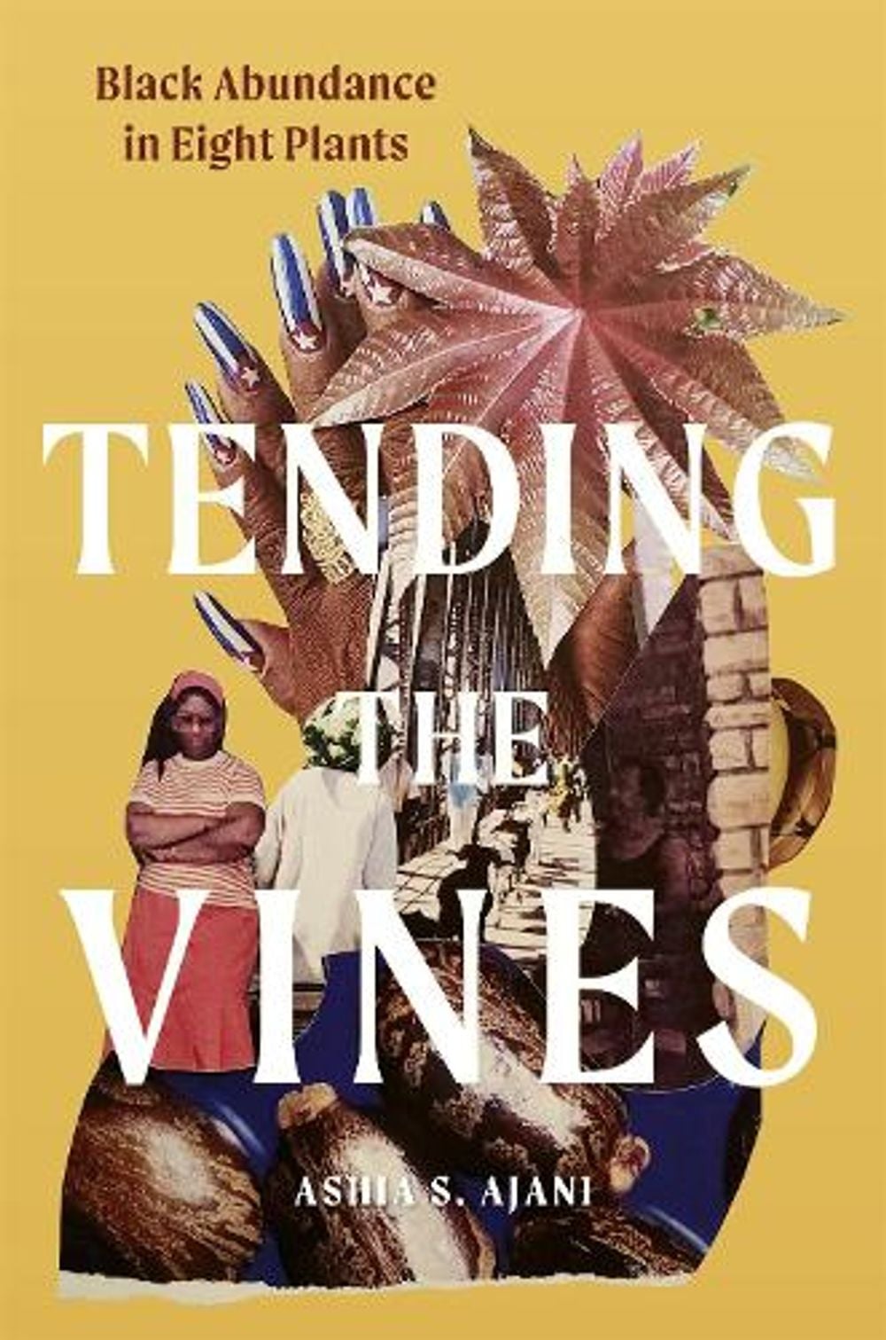 Tending the Vines by Ashia S. Ajani - ISBN: 9781643264769