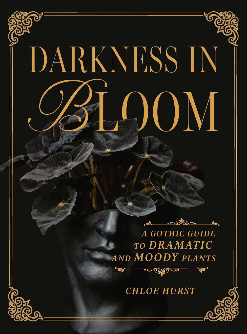 Darkness in Bloom by Chloe Hurst - ISBN: 9781643265551