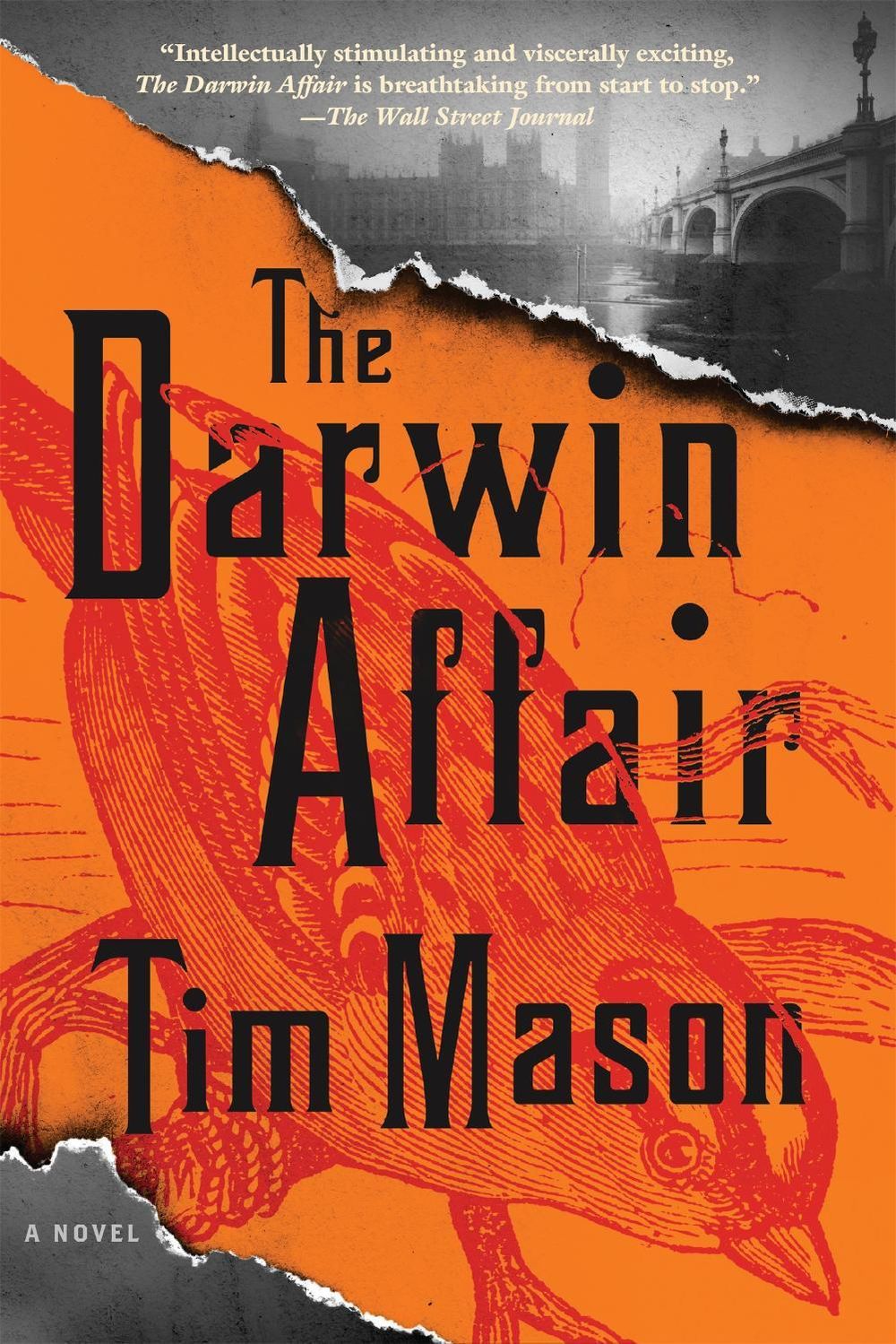 The Darwin Affair by Tim Mason - ISBN: 9781643750460
