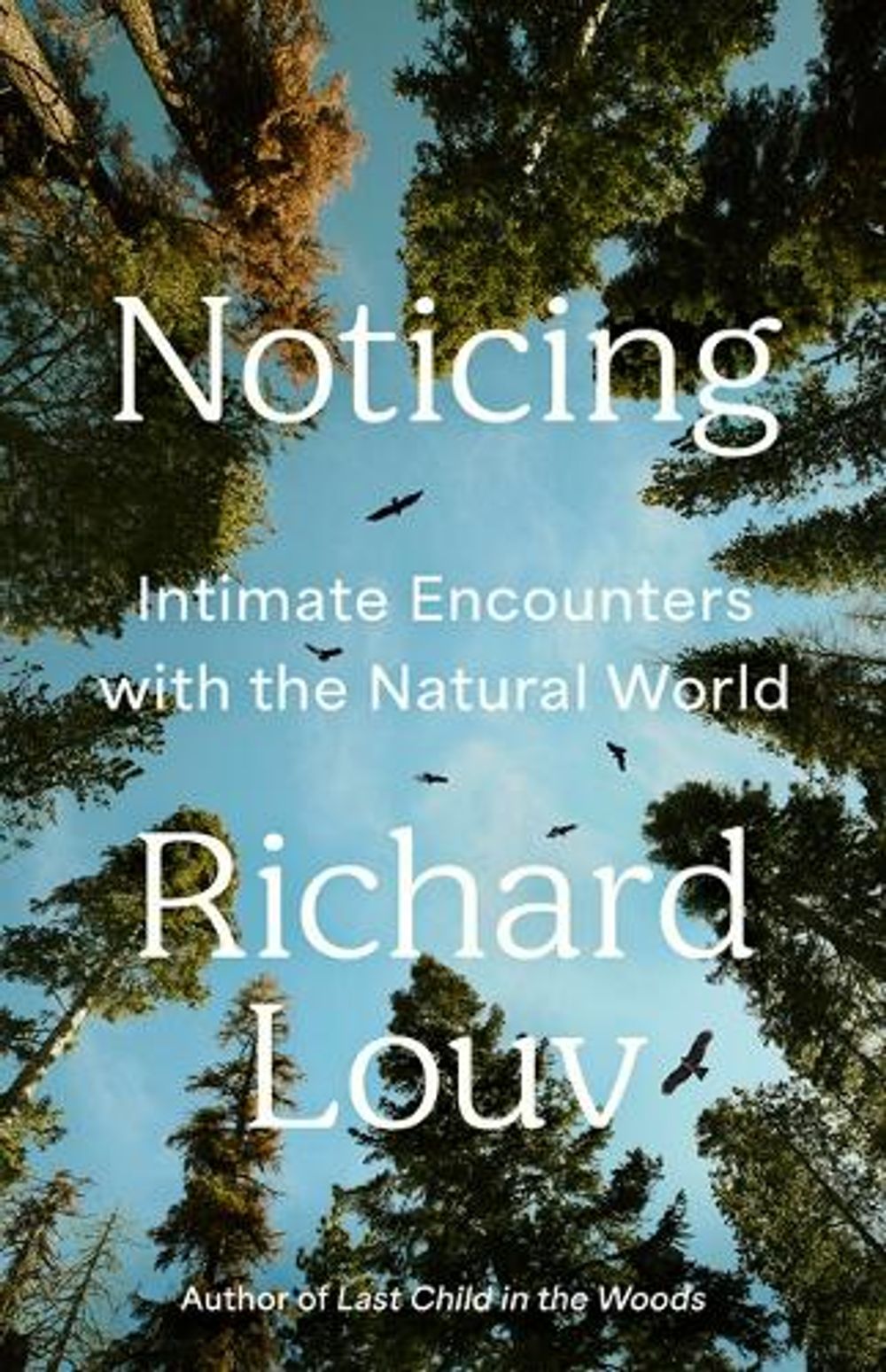 Noticing by Richard Louv - ISBN: 9781643753034