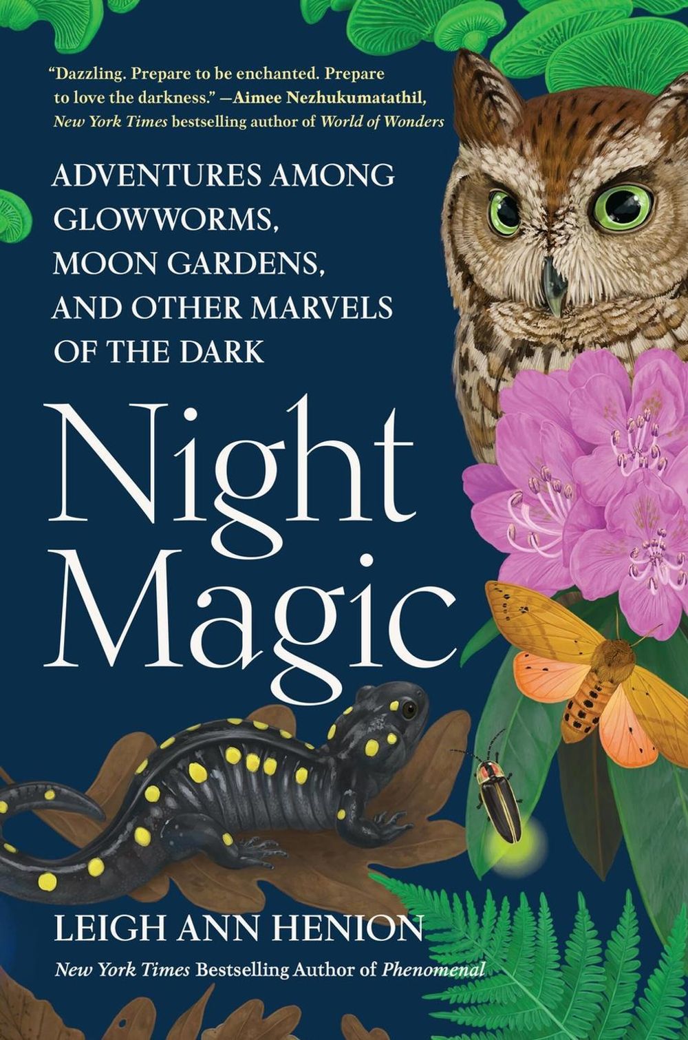 Night Magic by Leigh Ann Henion - ISBN: 9781643753362
