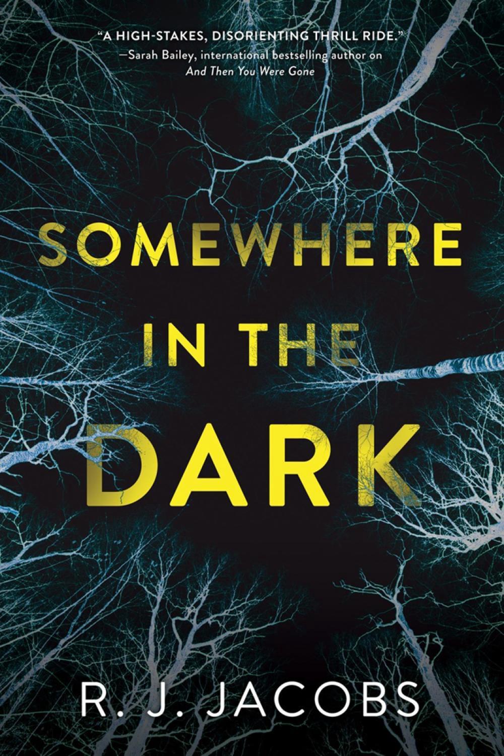 Somewhere in the Dark by R.J. Jacobs - ISBN: 9781643853000