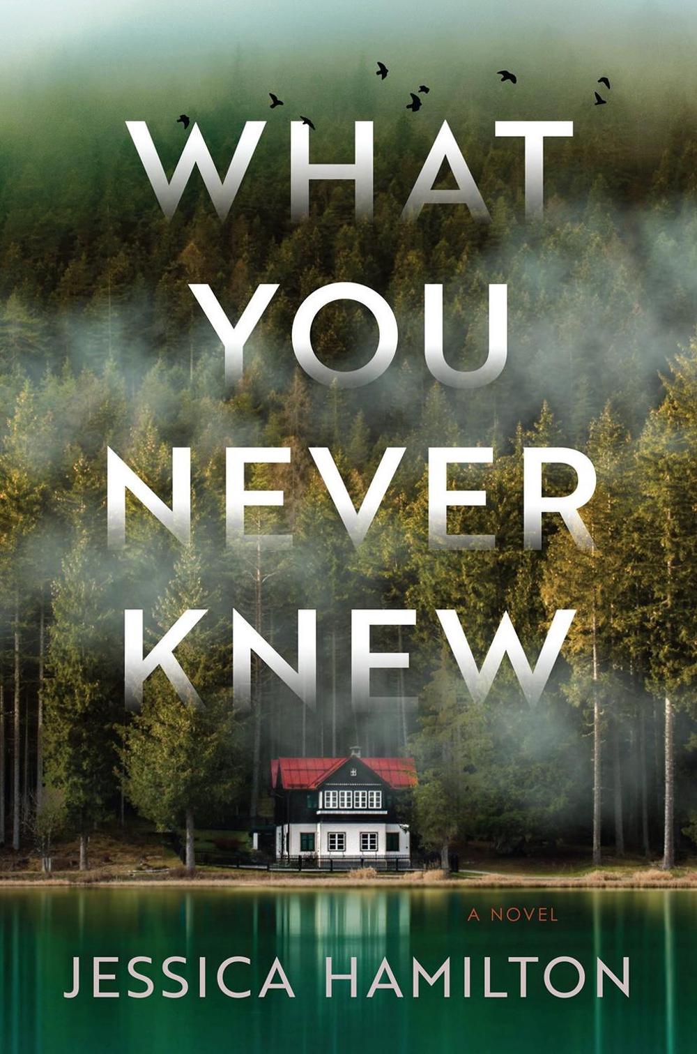 What You Never Knew by Jessica Hamilton - ISBN: 9781643856964