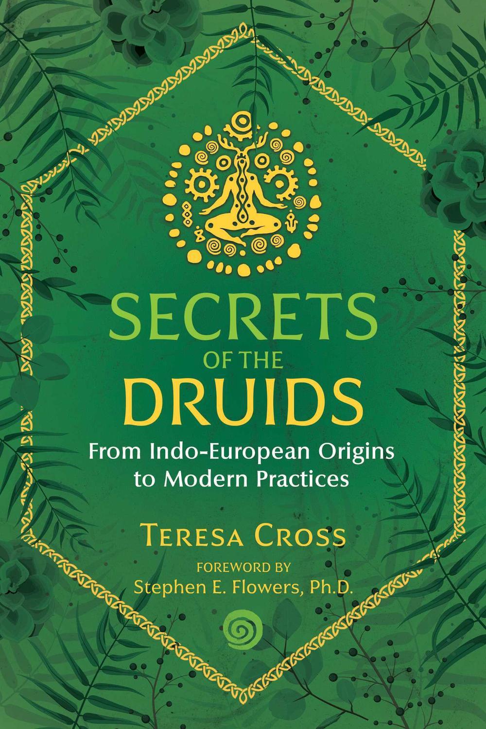 Secrets of the Druids by Teresa Cross - ISBN: 9781644111284