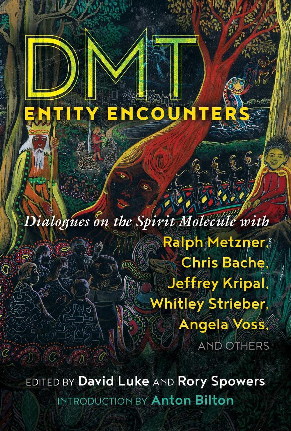 DMT Entity Encounters by David Luke - ISBN: 9781644112335