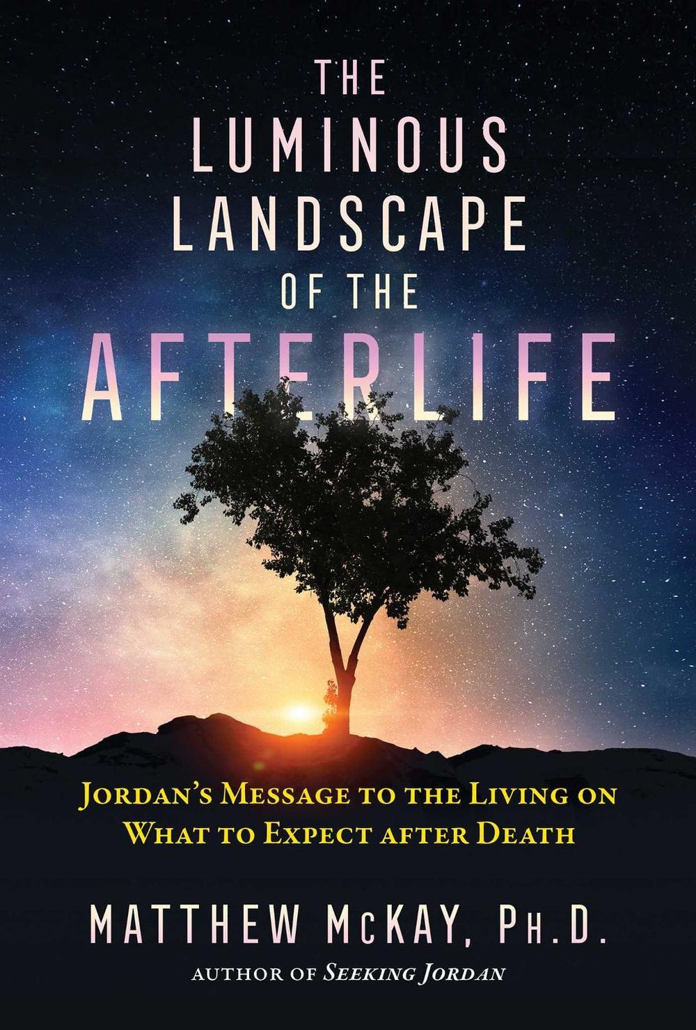 The Luminous Landscape of the Afterlife by Matthew McKay - ISBN: 9781644112847