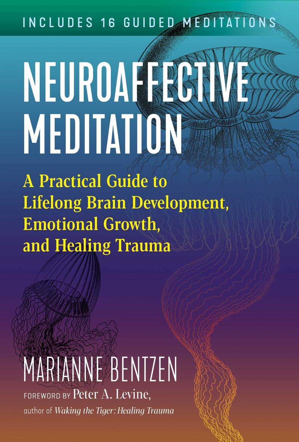 Neuroaffective Meditation by Marianne Bentzen - ISBN: 9781644113523