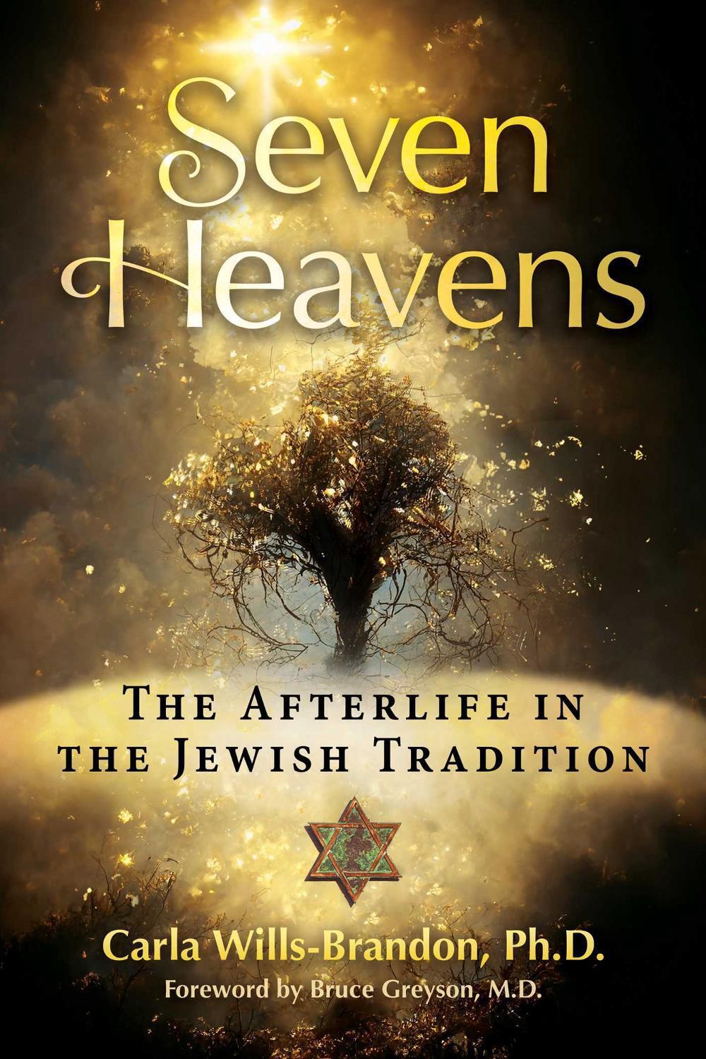 Seven Heavens, 9781644118153