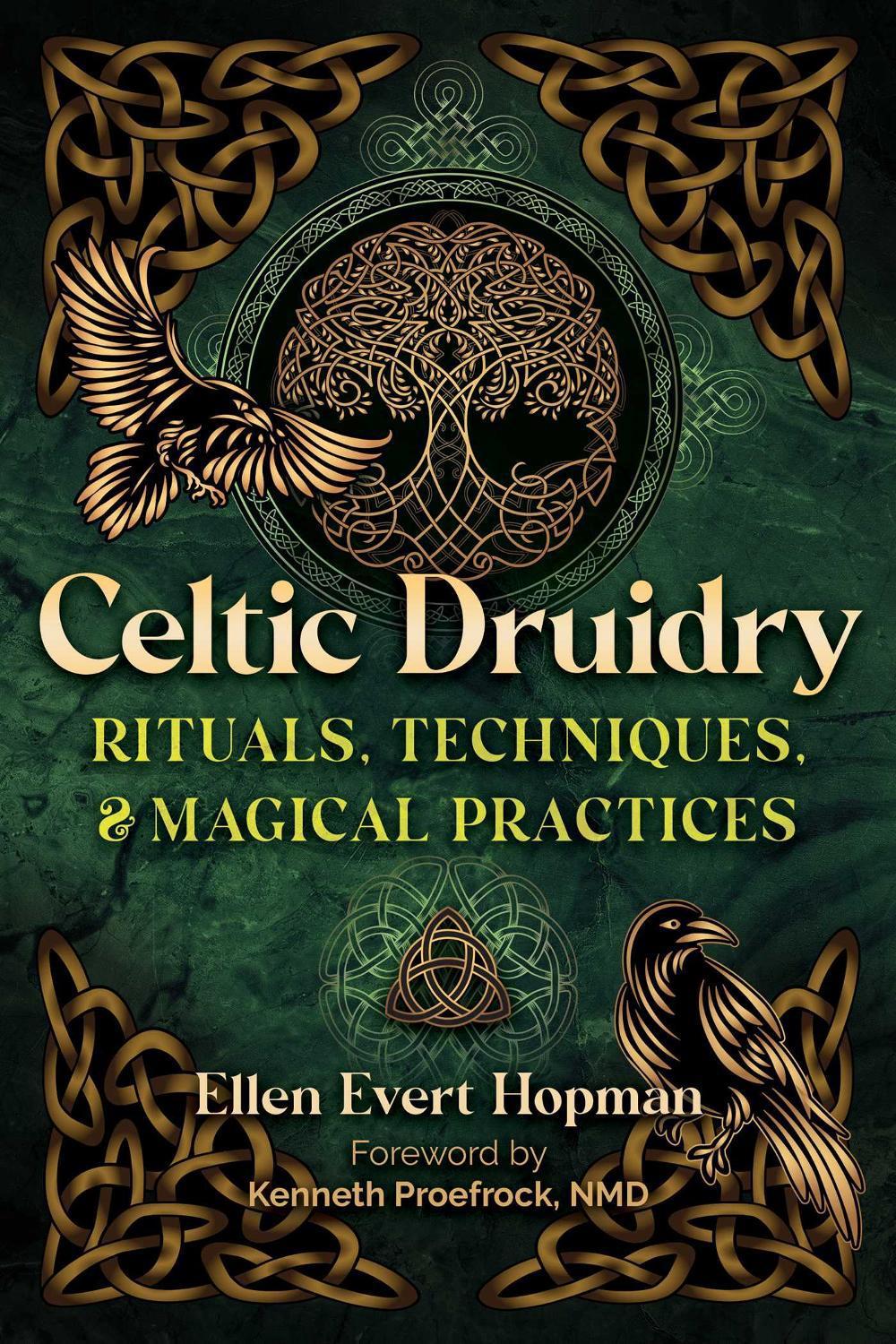 Celtic Druidry, 9781644118603