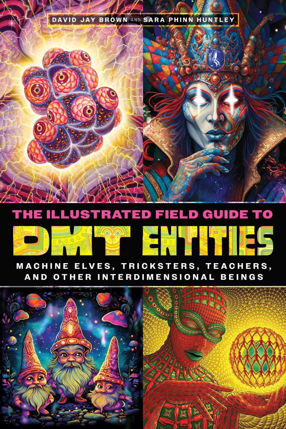 The Illustrated Field Guide to DMT Entities, 9781644119198