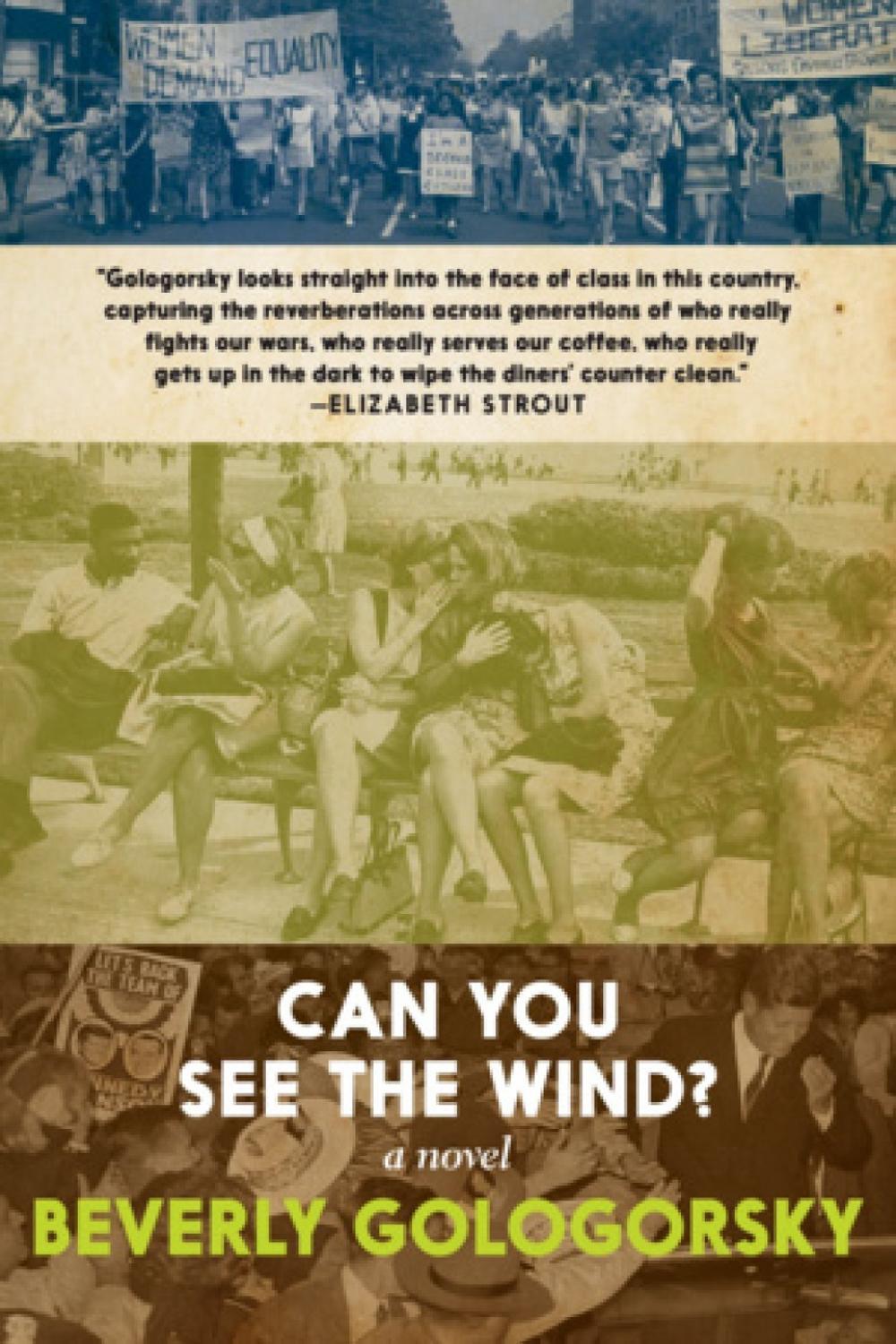 Can You See the Wind? by Beverly Gologorsky - ISBN: 9781644211106