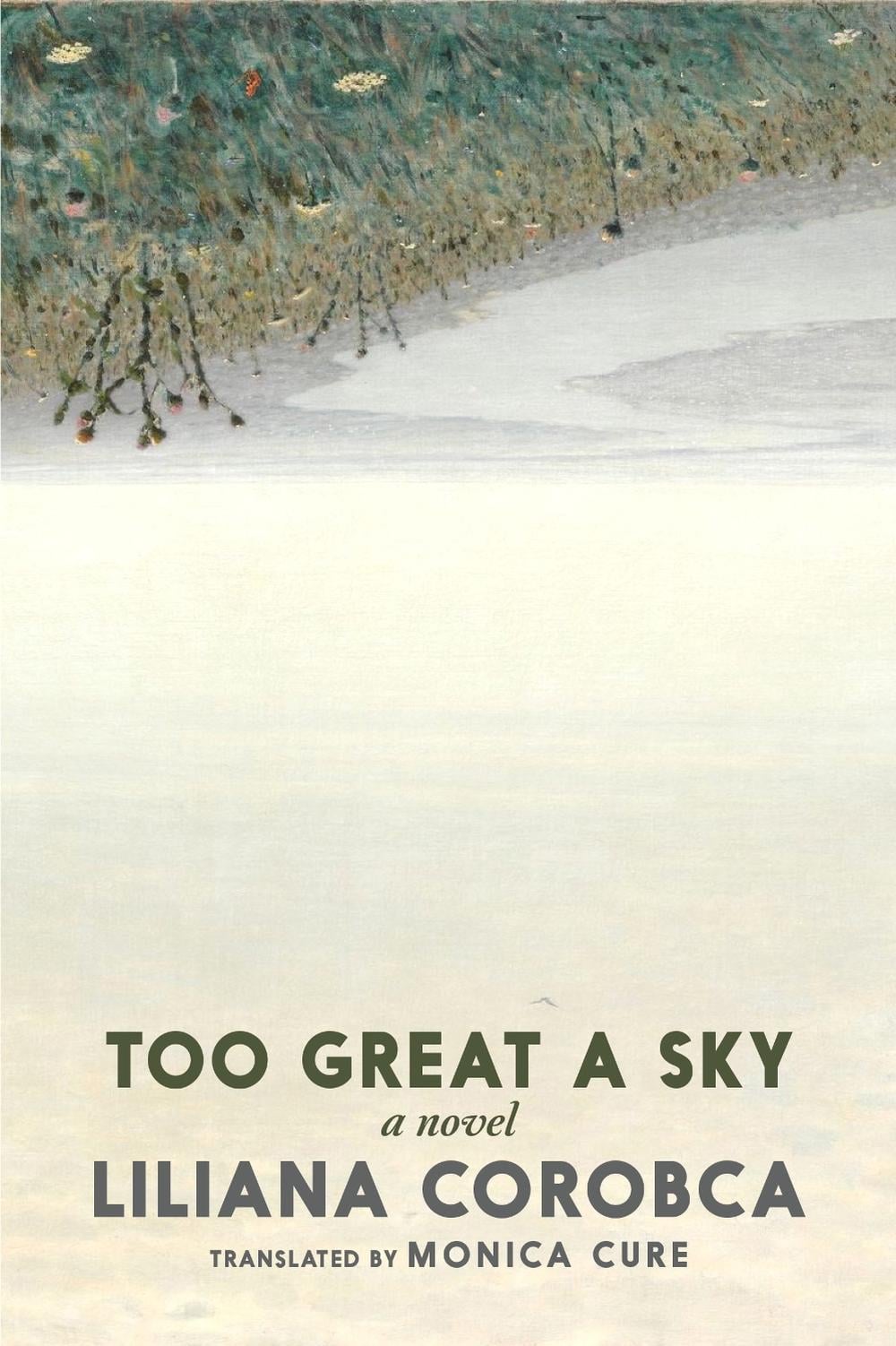 Too Great a Sky by Liliana Corobca - ISBN: 9781644214176
