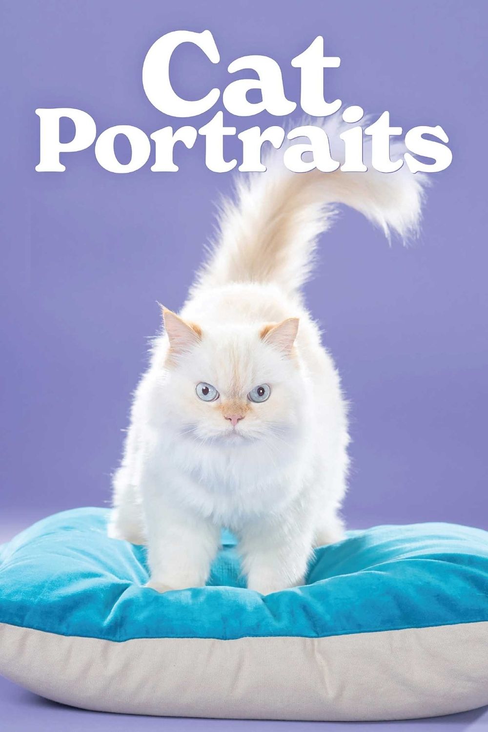 Cat Portraits by Dave Nazworthy - ISBN: 9781644284506