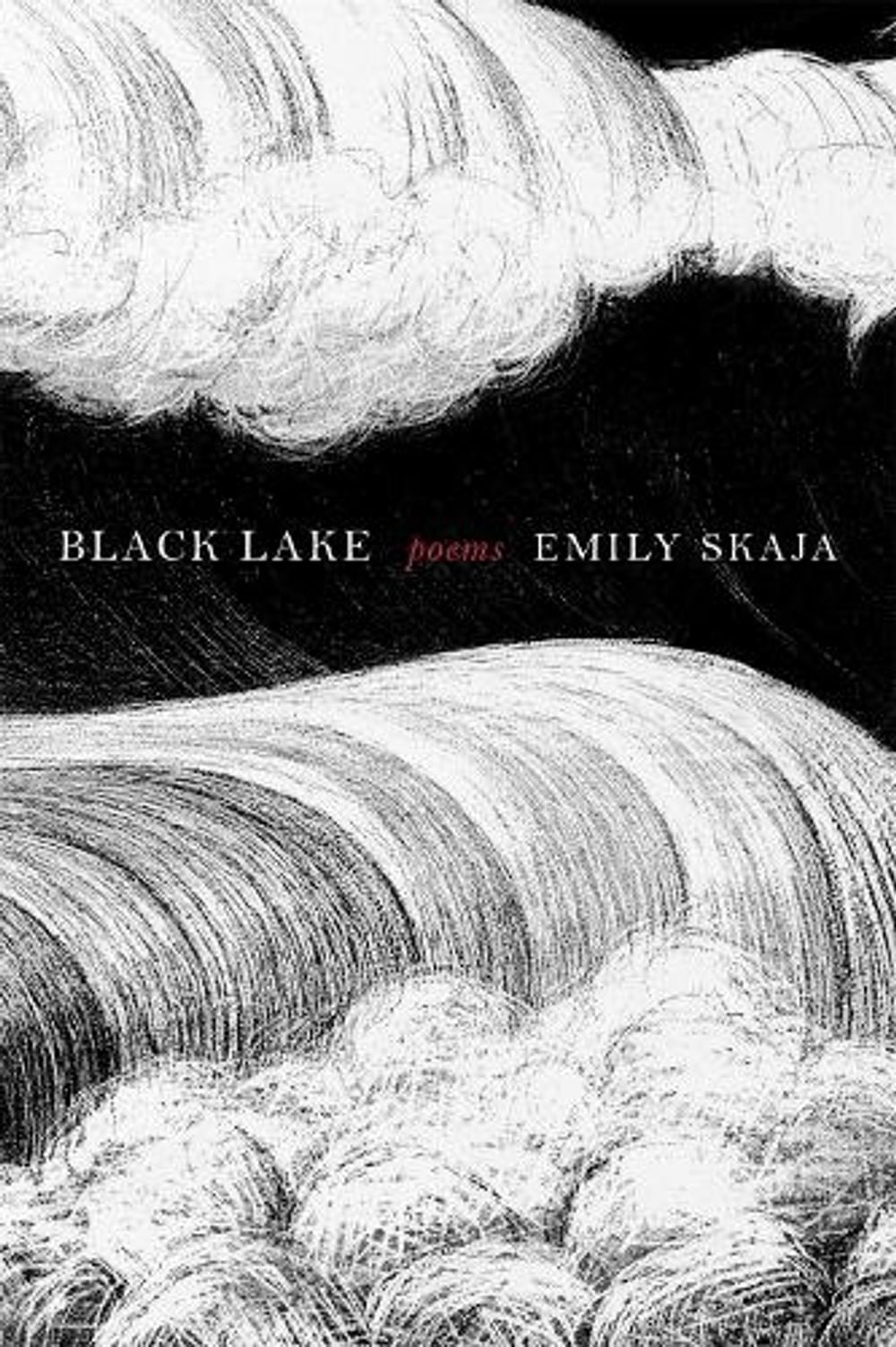 Black Lake by Emily Skaja - ISBN: 9781644454121