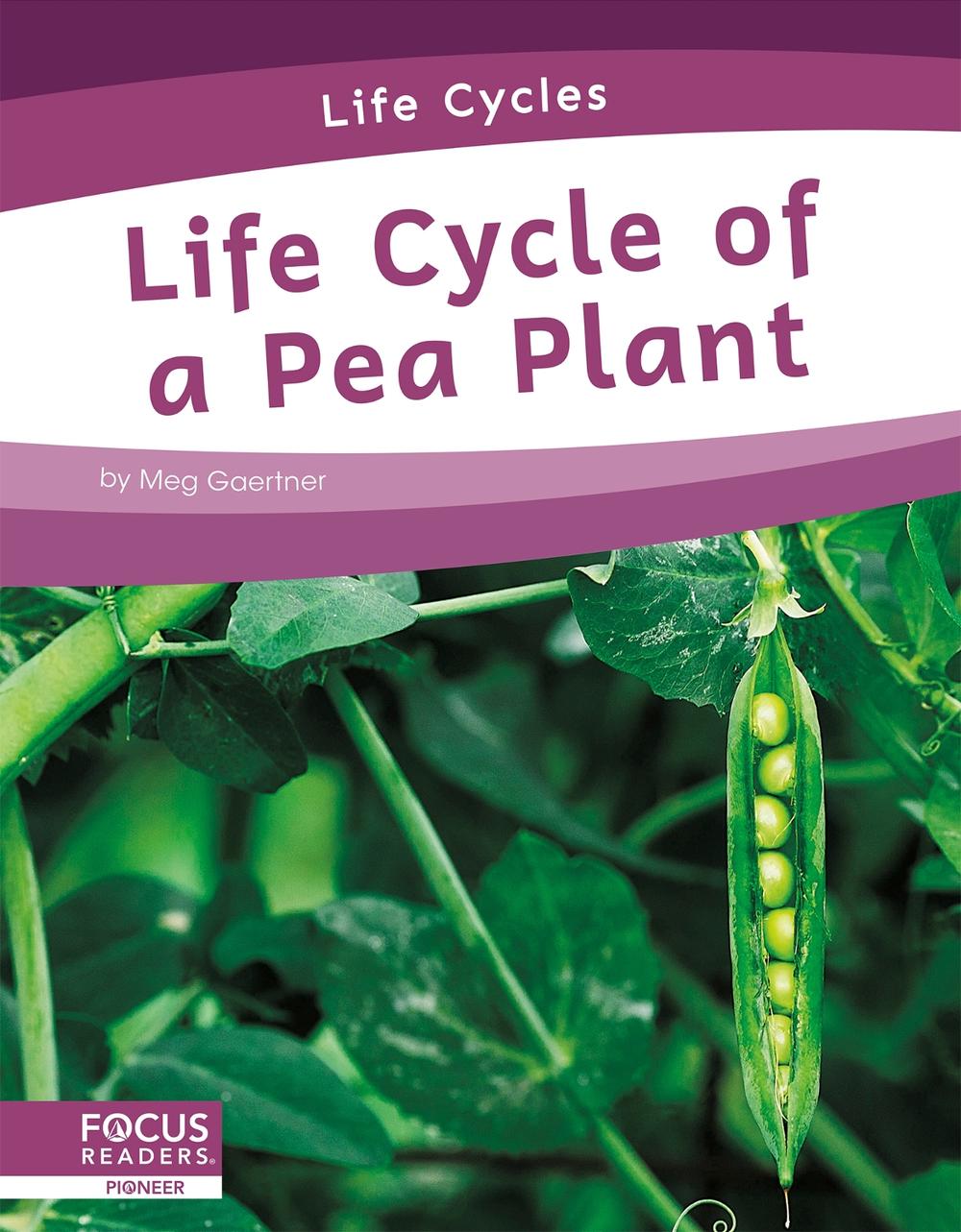 Life Cycles Life Cycle of a Pea Plant by Meg Gaertner, Hardcover