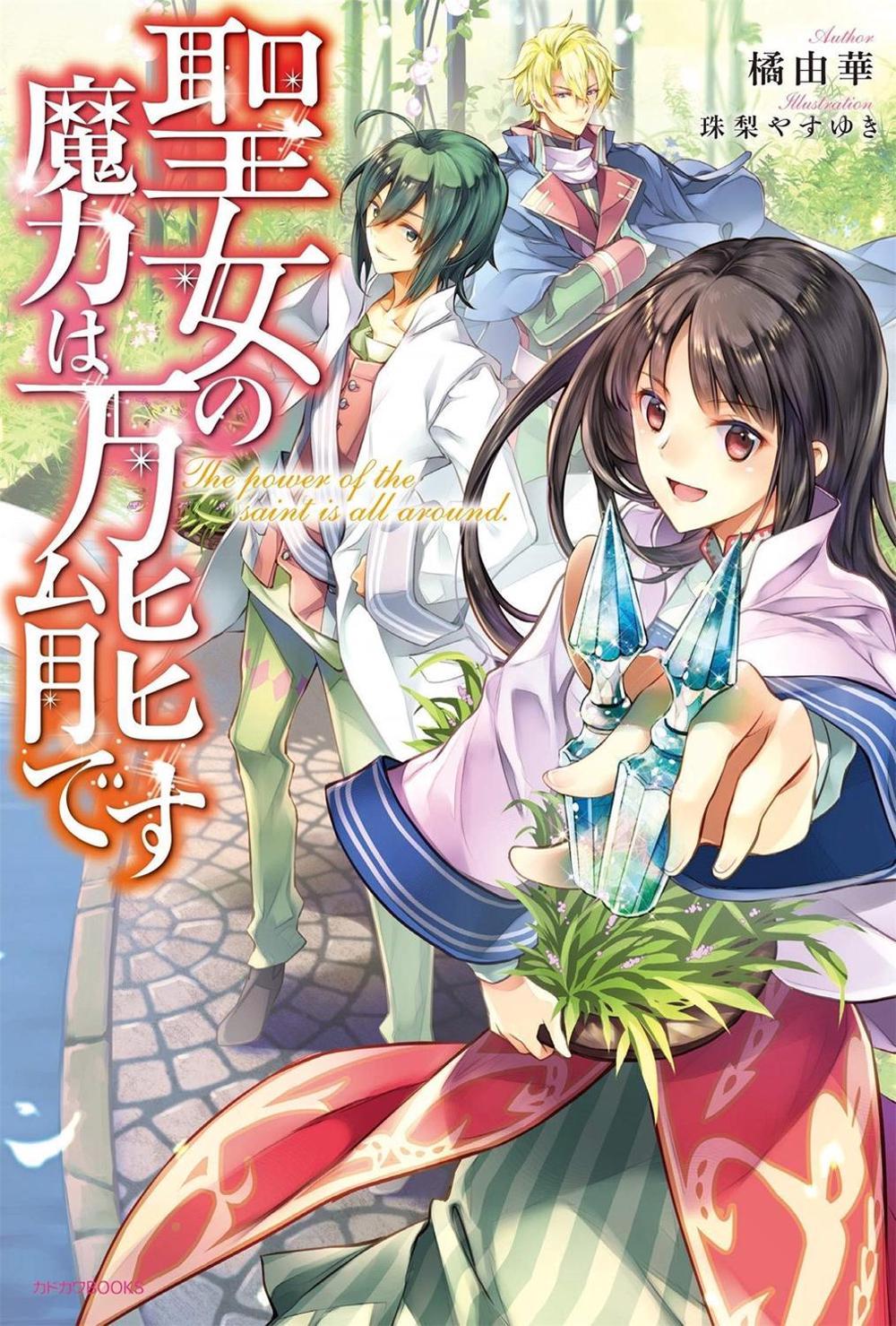 The Saint's Magic Power is Omnipotent (Light Novel) Vol. 1 by Yuka Tachibana - ISBN: 9781645058502