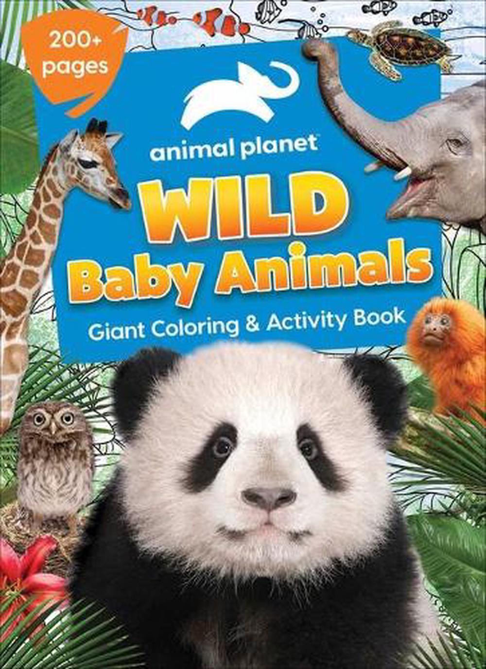 Download Animal Planet Wild Baby Animals Coloring Book By Editors Of Silver Dolphin Books Paperback 9781645176770 Buy Online At Moby The Great