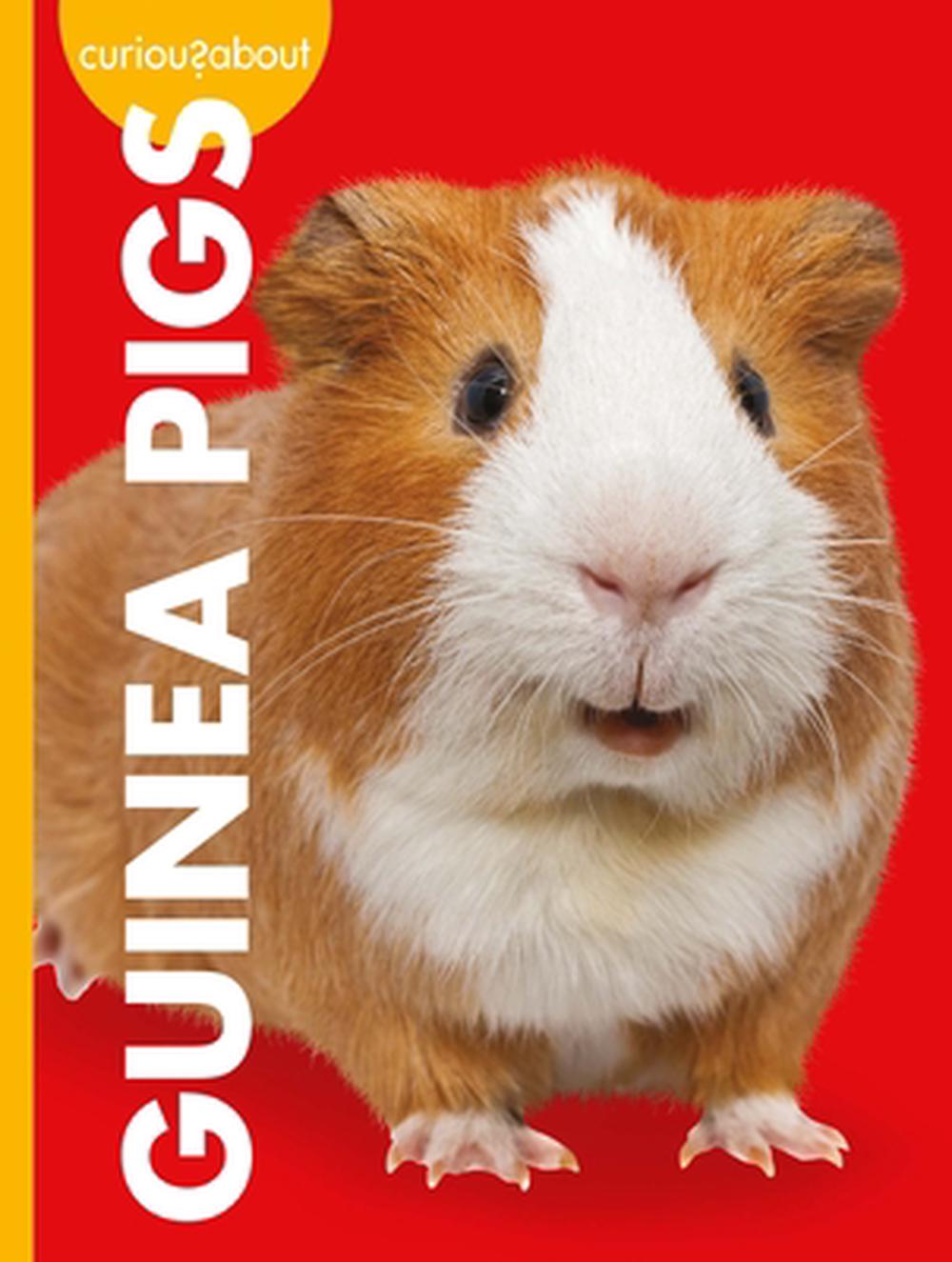 Curious about Guinea Pigs, 9781645493068