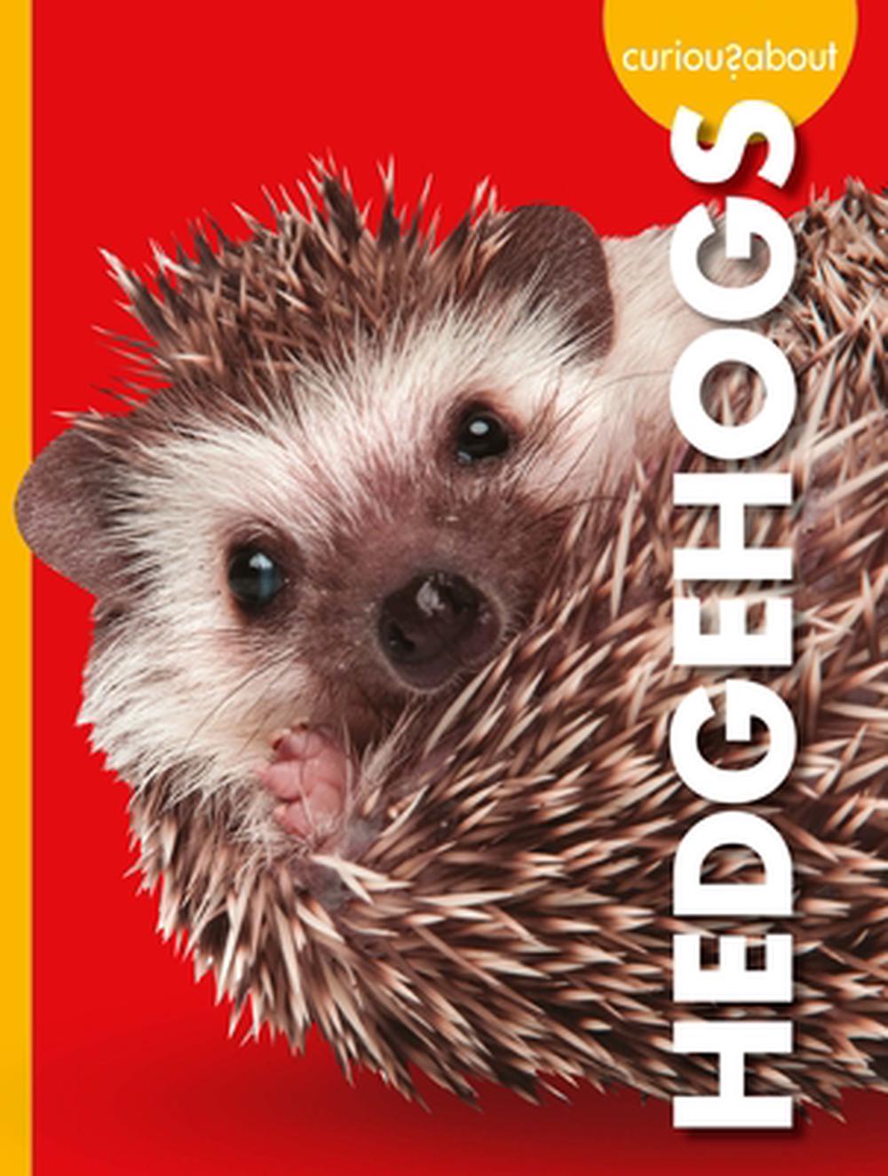Curious about Hedgehogs, 9781645493075