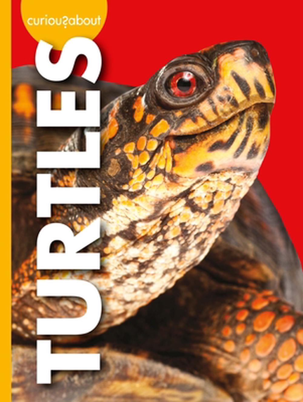Curious about Turtles, 9781645493112