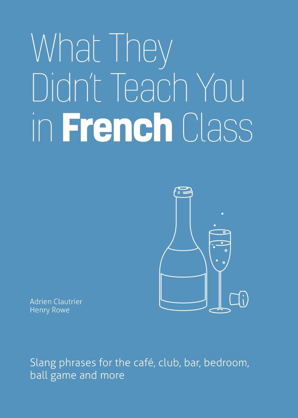 What They Didn't Teach You in French Class, 9781646043934
