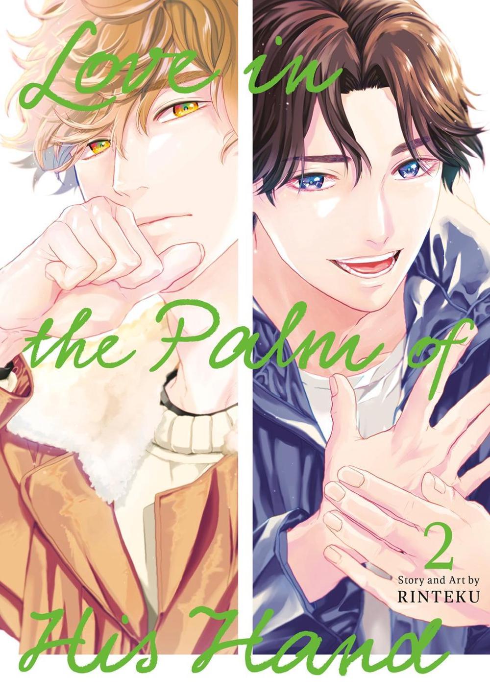 Love in the Palm of His Hand 02 by Rinteku - ISBN: 9781646093878